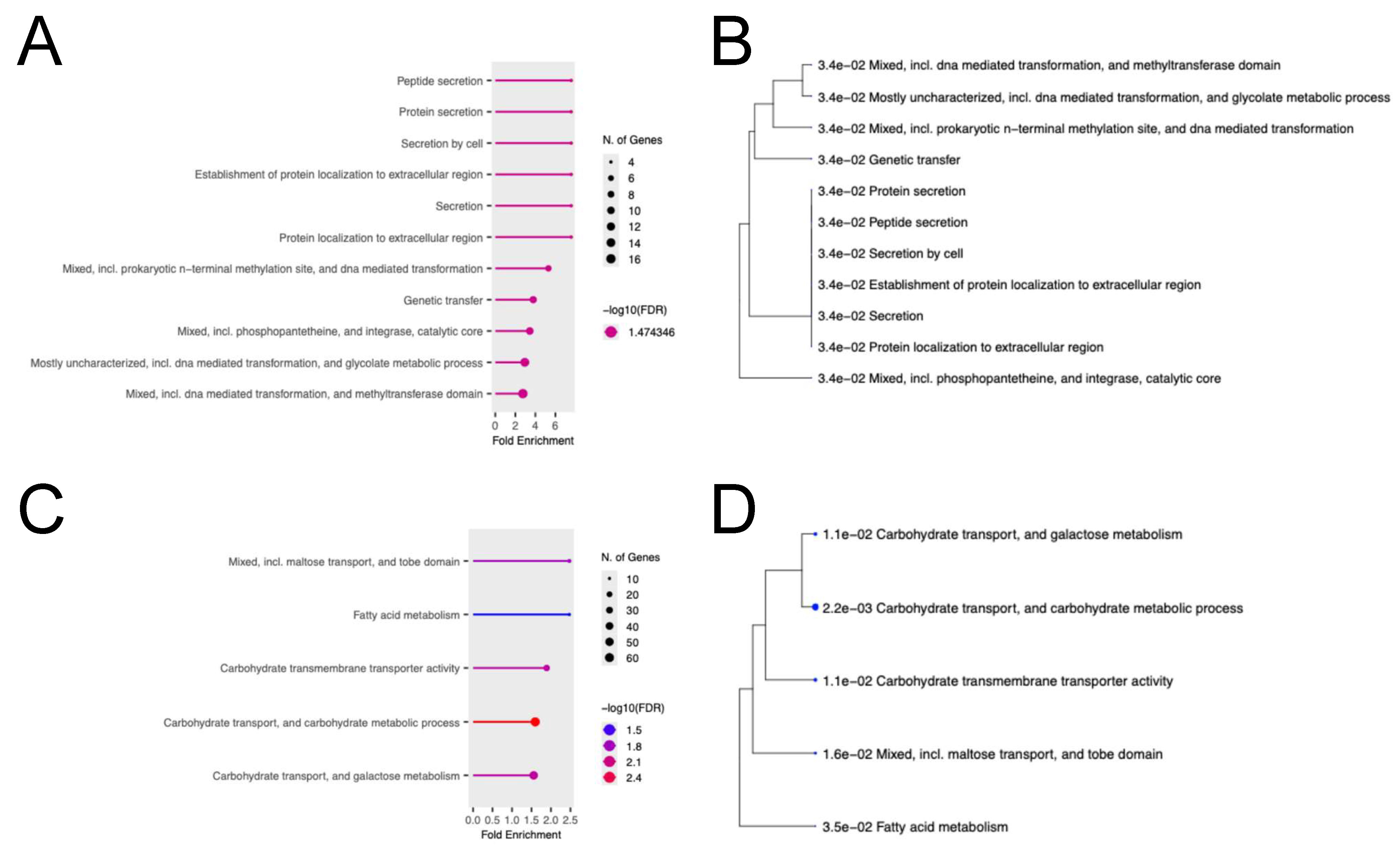 Ijms 26 07443 g006 Ijms 26 07443 g006