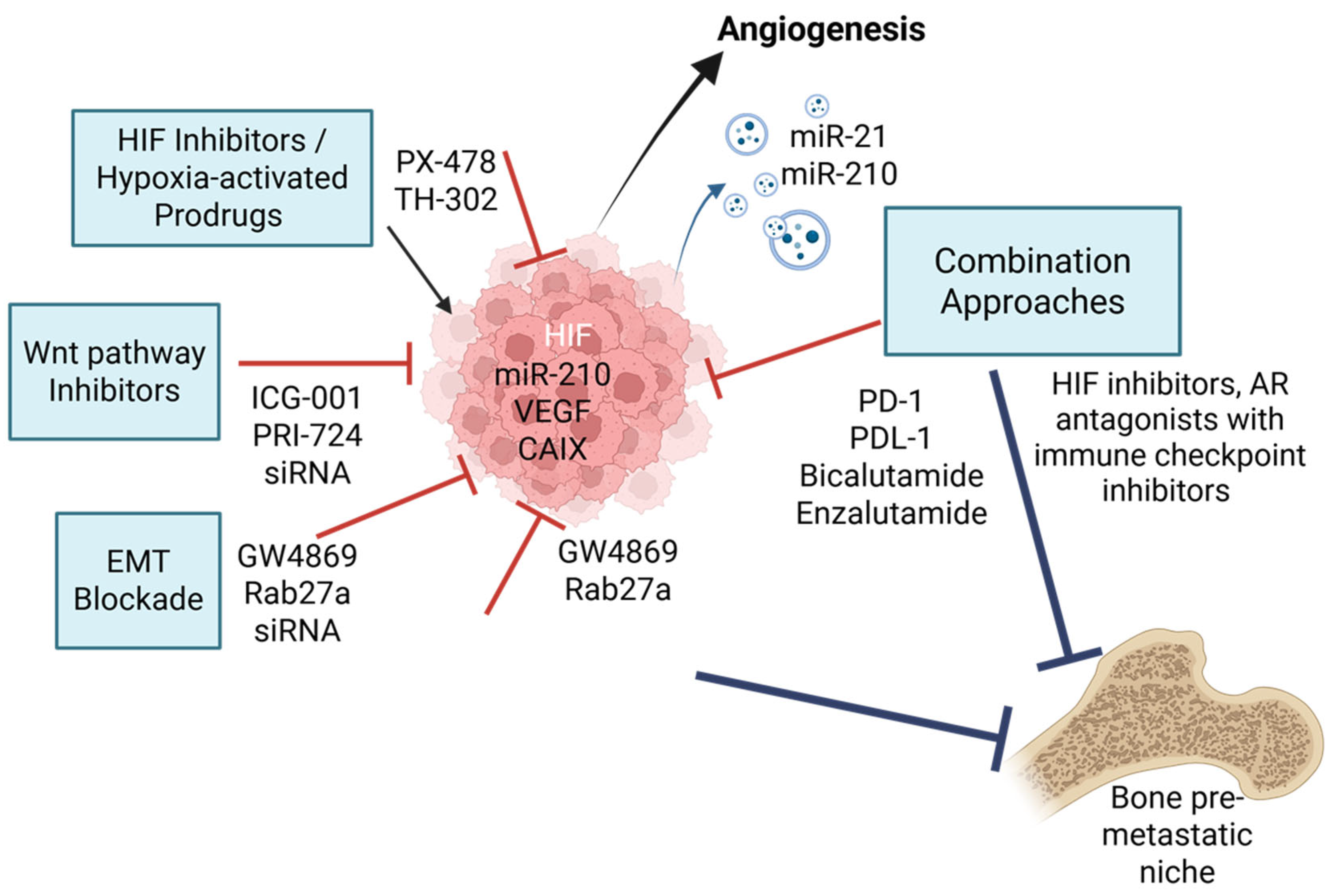 Ijms 26 07452 g003 Ijms 26 07452 g003