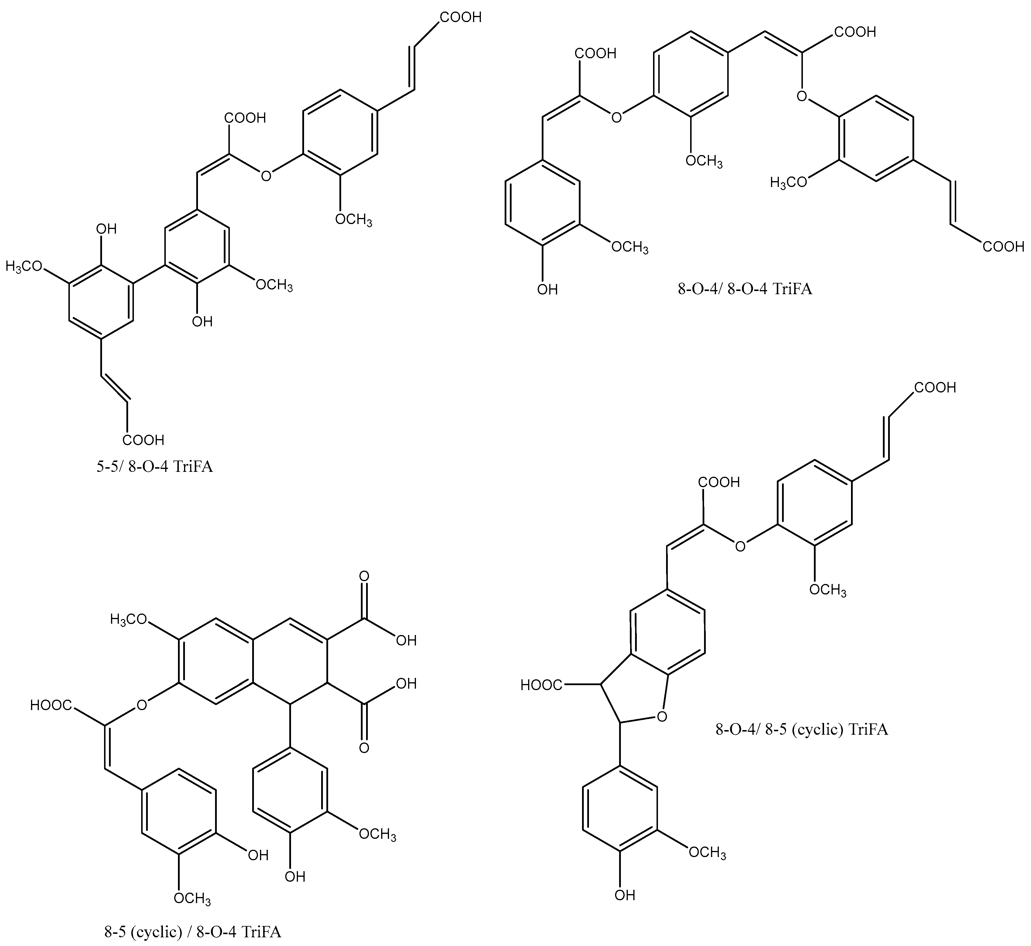 Ijms 26 07474 g004 Ijms 26 07474 g004