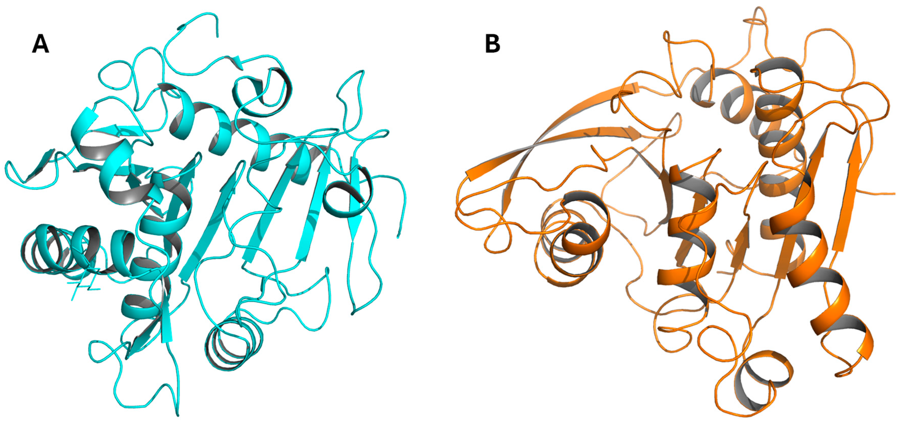Ijms 26 07474 g006 Ijms 26 07474 g006