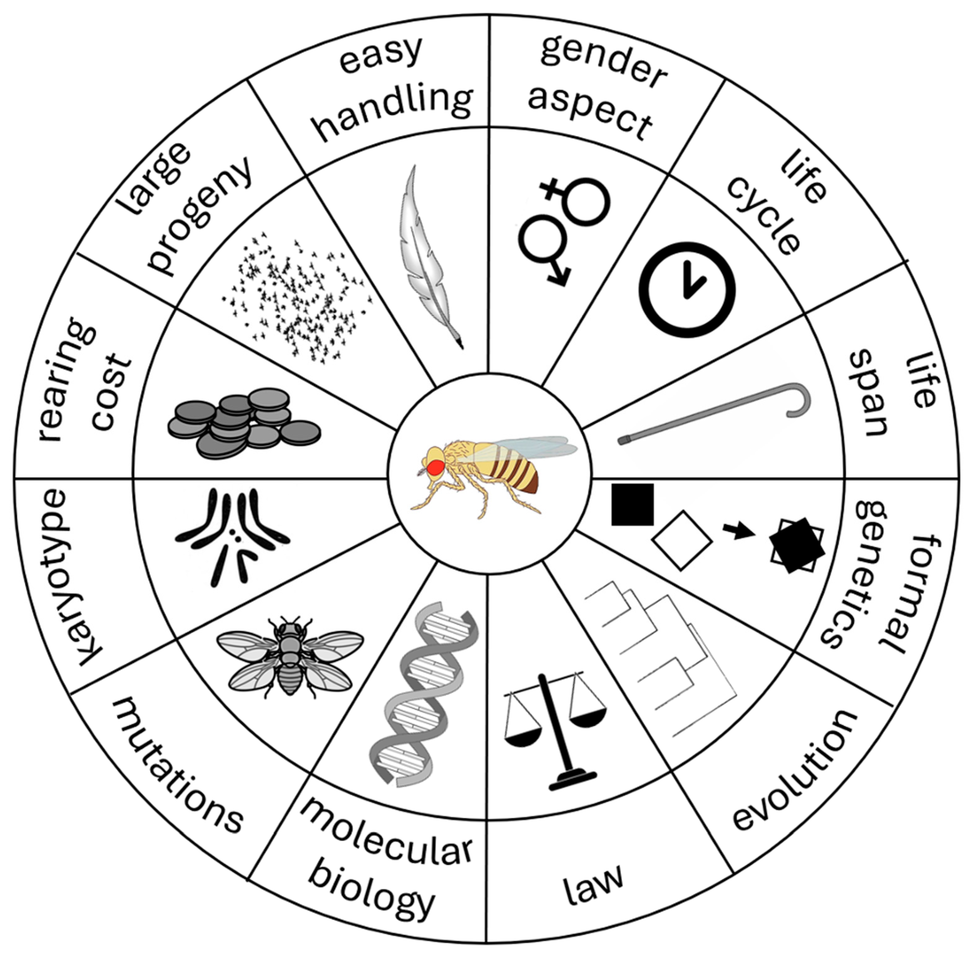 Ijms 26 07485 g002 Ijms 26 07485 g002