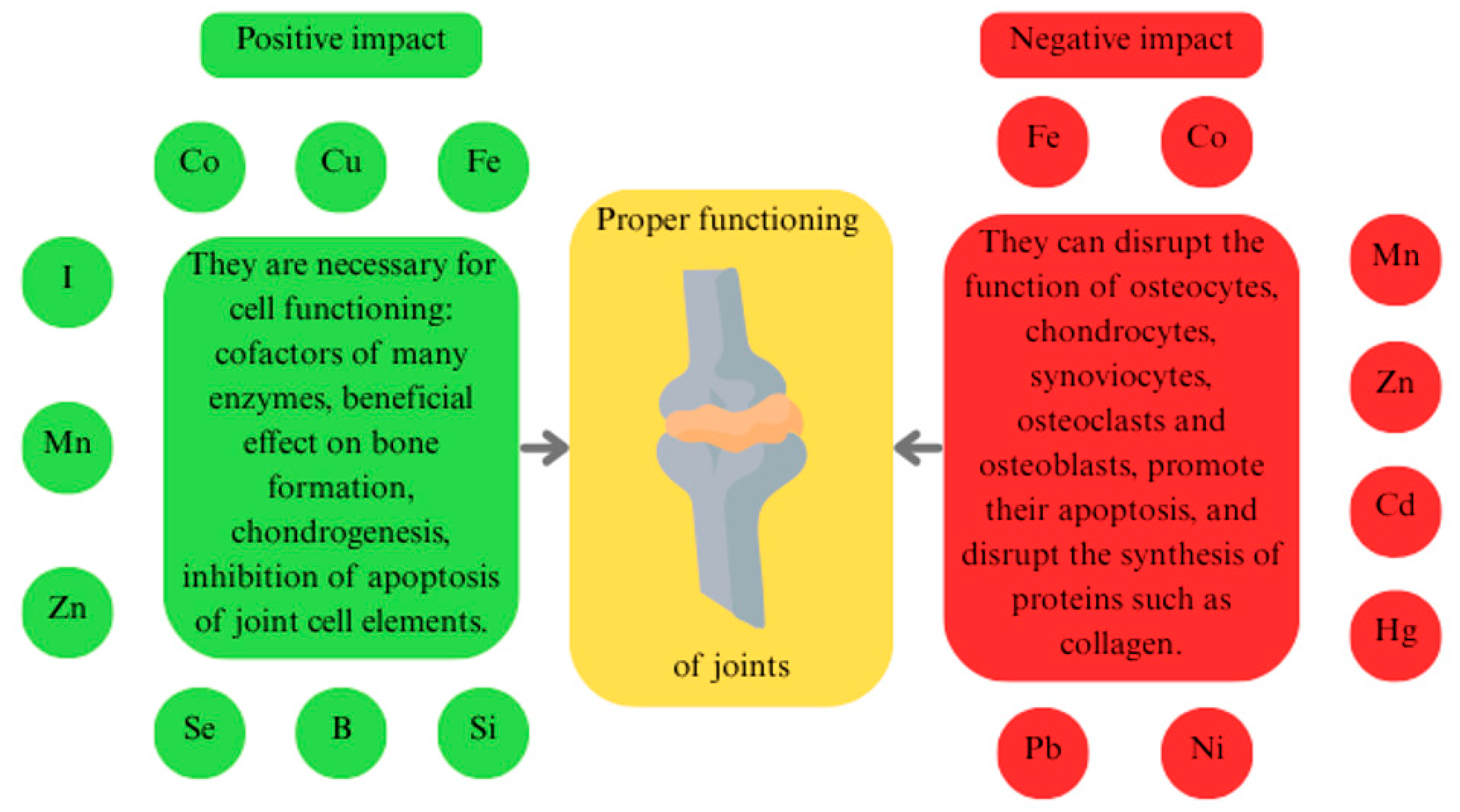 Ijms 26 07493 g001 Ijms 26 07493 g001