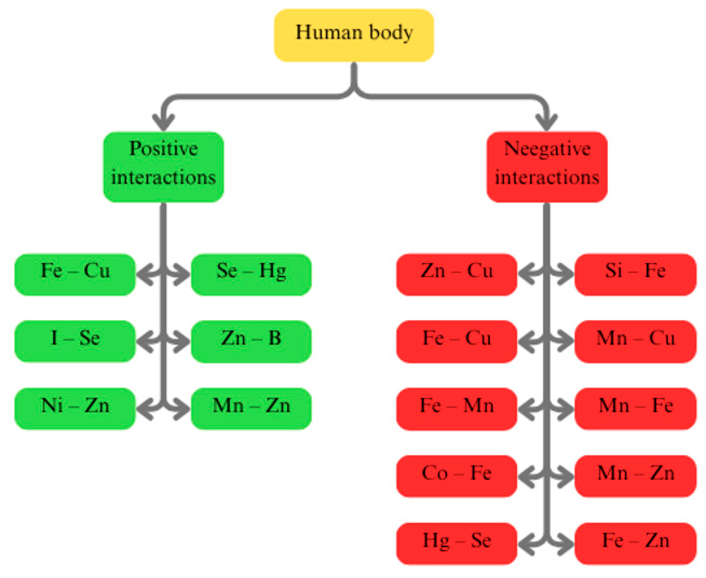 Ijms 26 07493 g002 Ijms 26 07493 g002