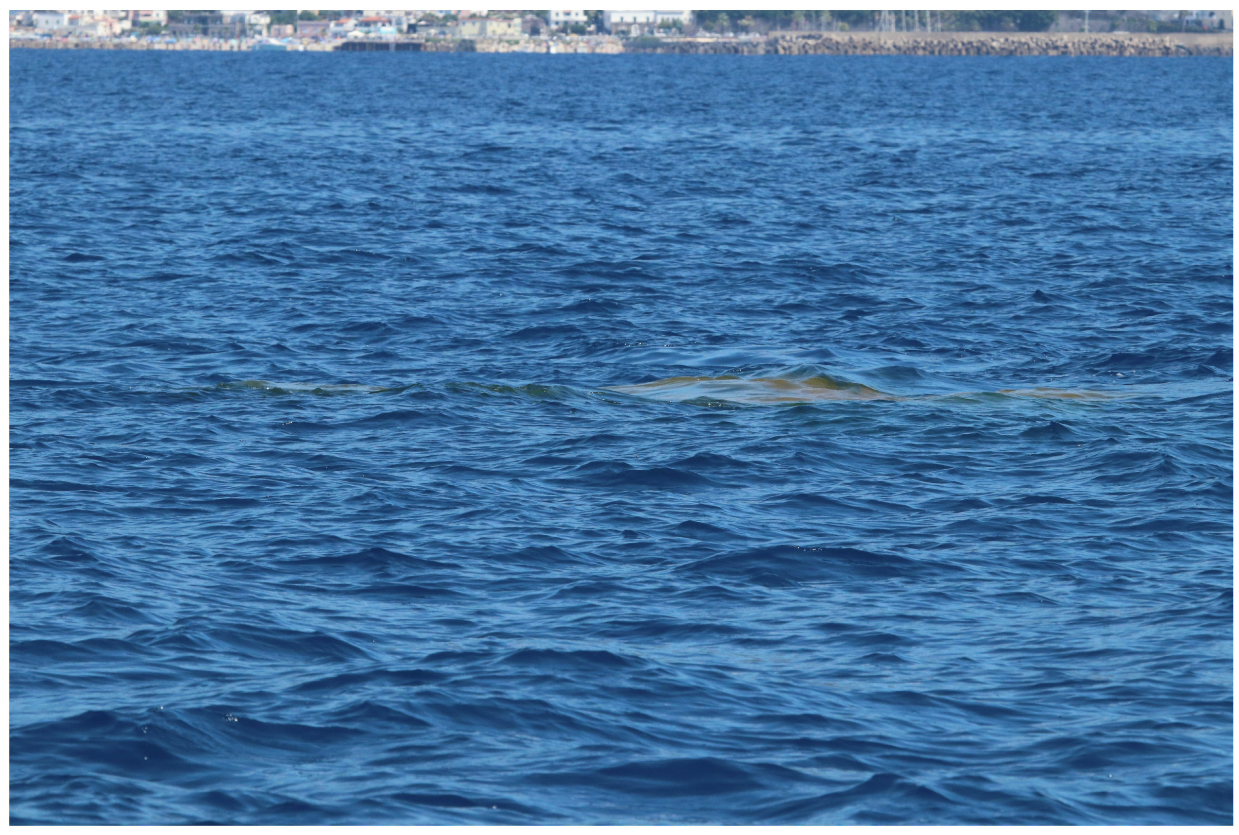 Ijms 26 07517 g003 Ijms 26 07517 g003