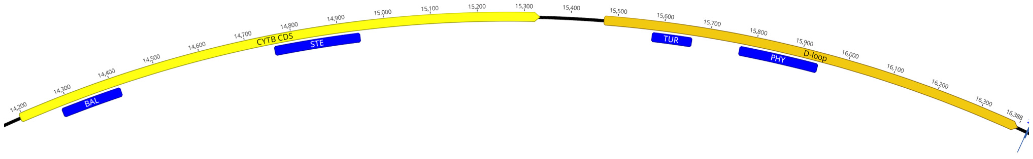 Ijms 26 07517 g004 Ijms 26 07517 g004