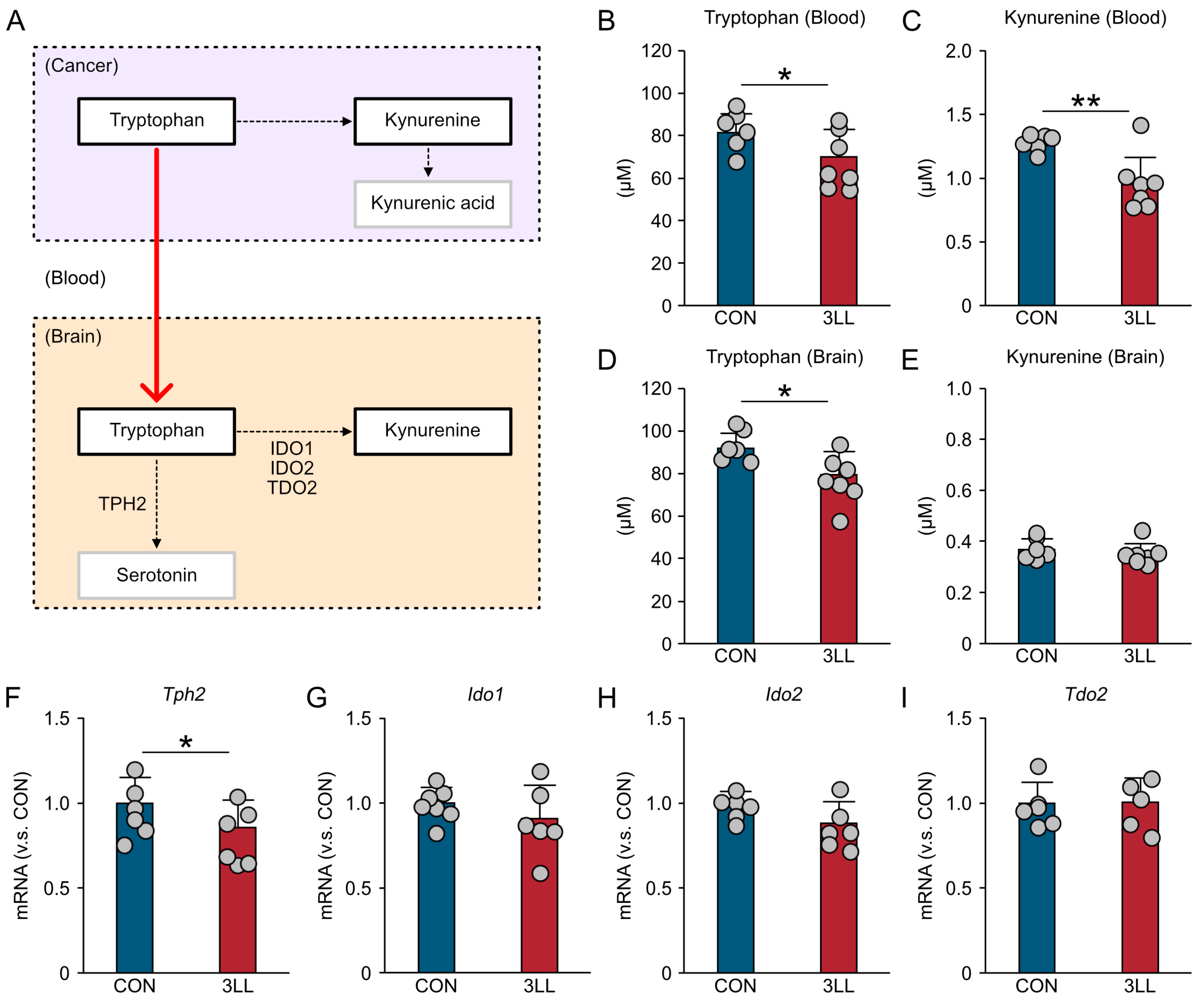 Ijms 26 07519 g002 Ijms 26 07519 g002