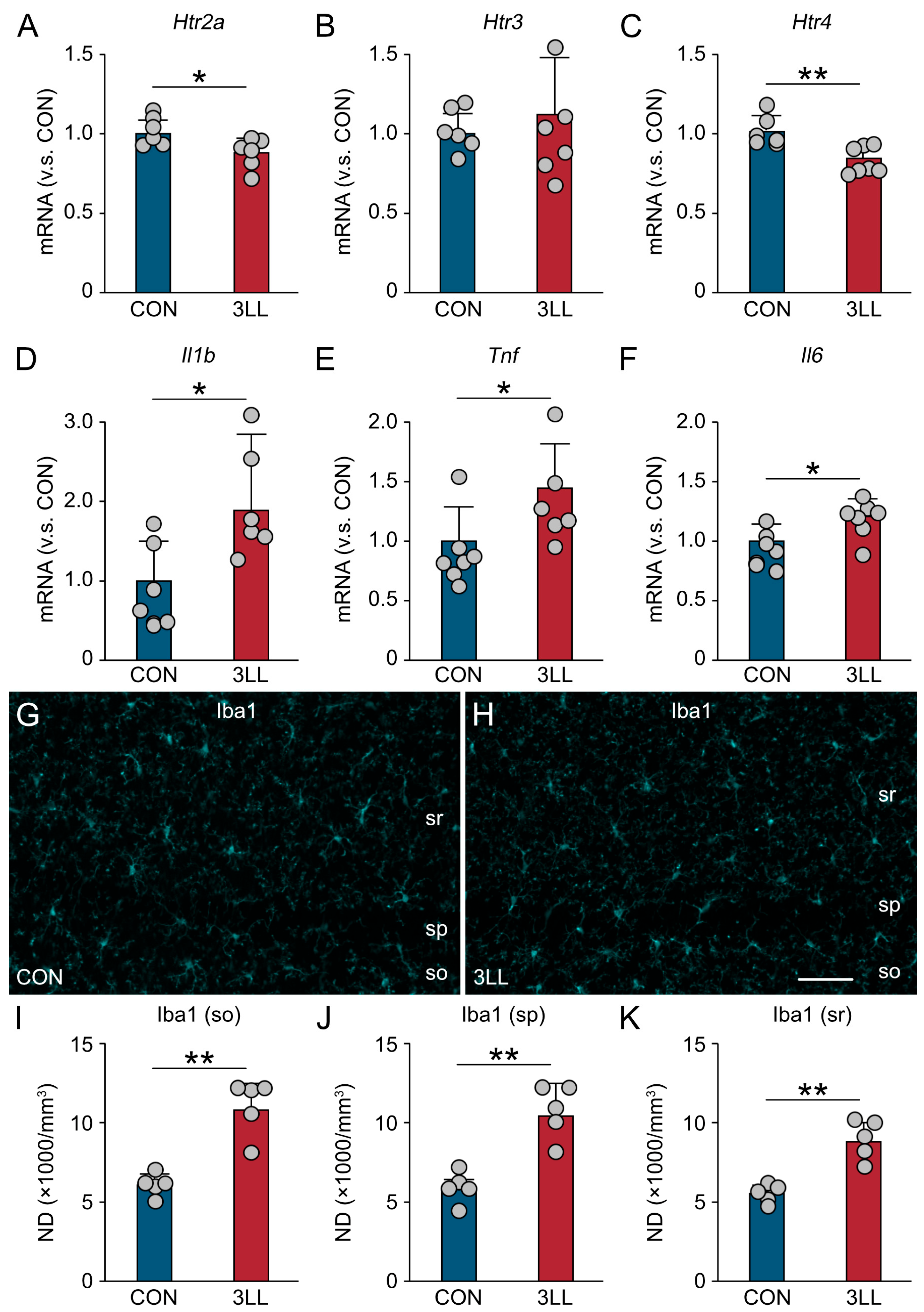 Ijms 26 07519 g003 Ijms 26 07519 g003