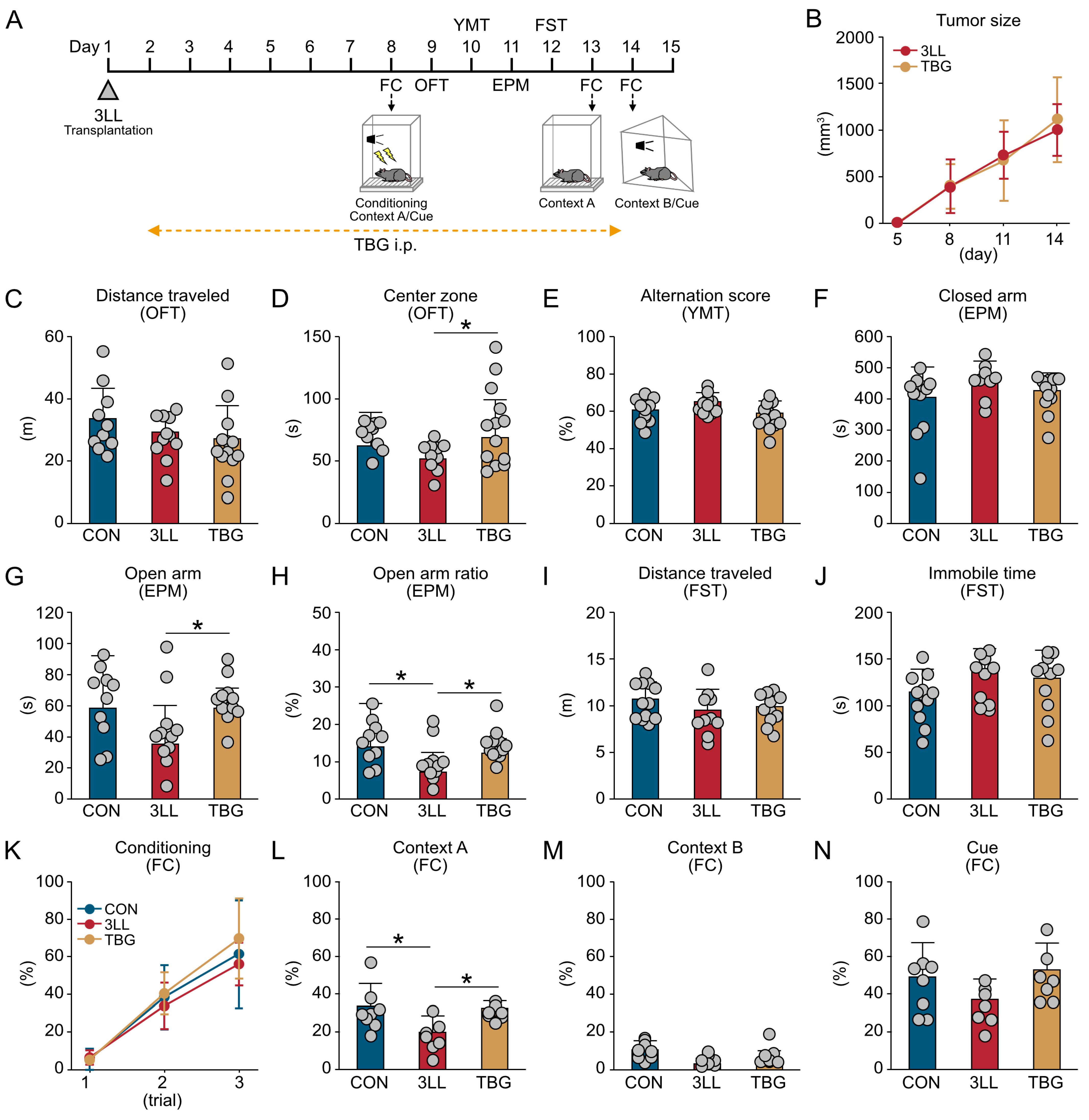 Ijms 26 07519 g005 Ijms 26 07519 g005