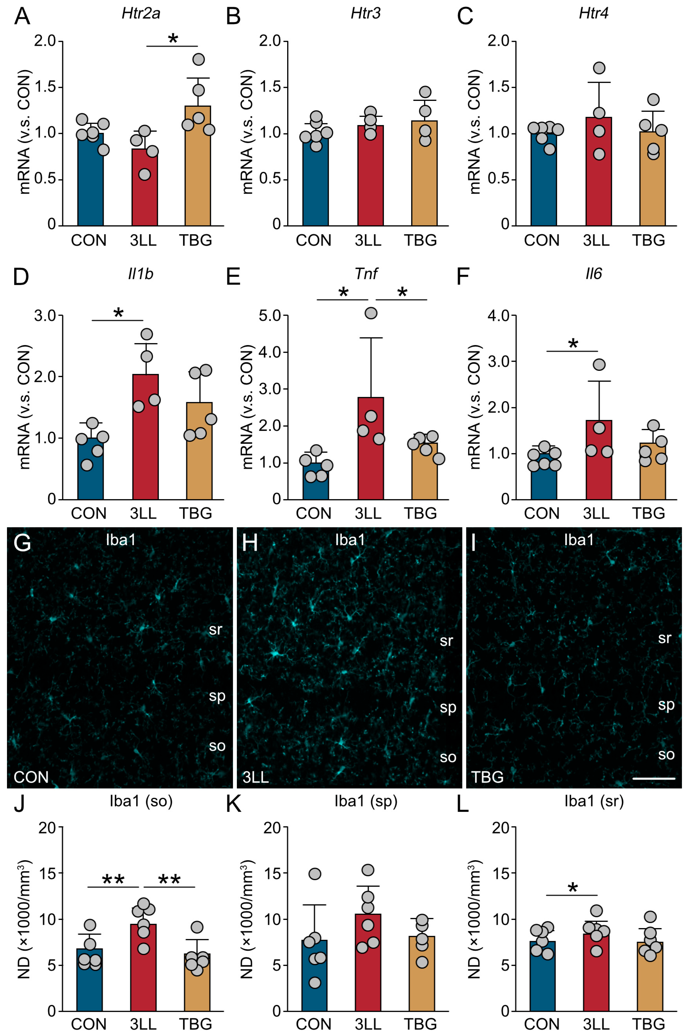 Ijms 26 07519 g006 Ijms 26 07519 g006