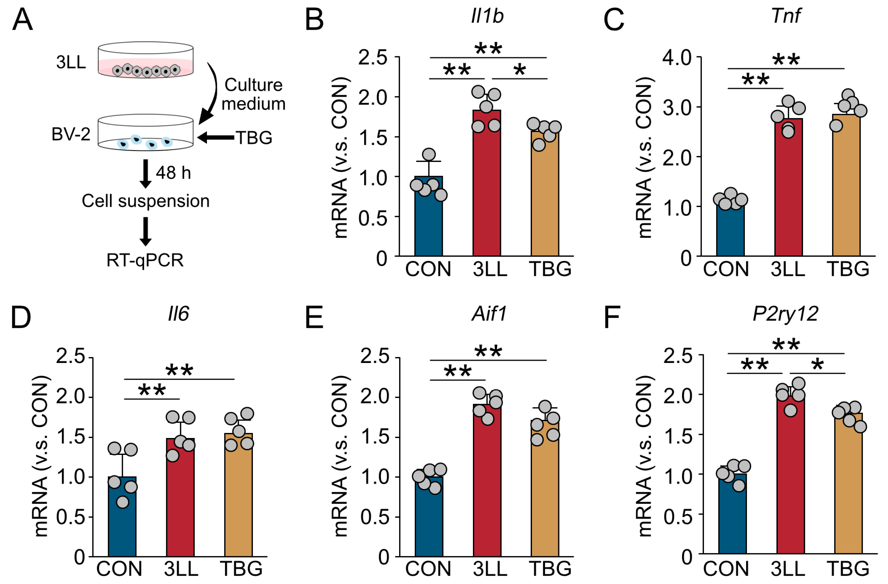 Ijms 26 07519 g007 Ijms 26 07519 g007