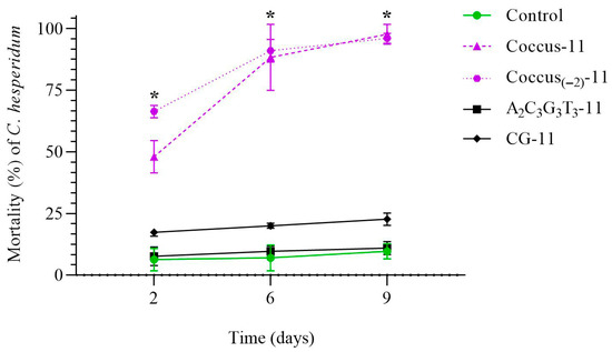 ネギ KAWASAKI Z250/400(19-)・Z e-1(24-)ネイキッド・スクリーン