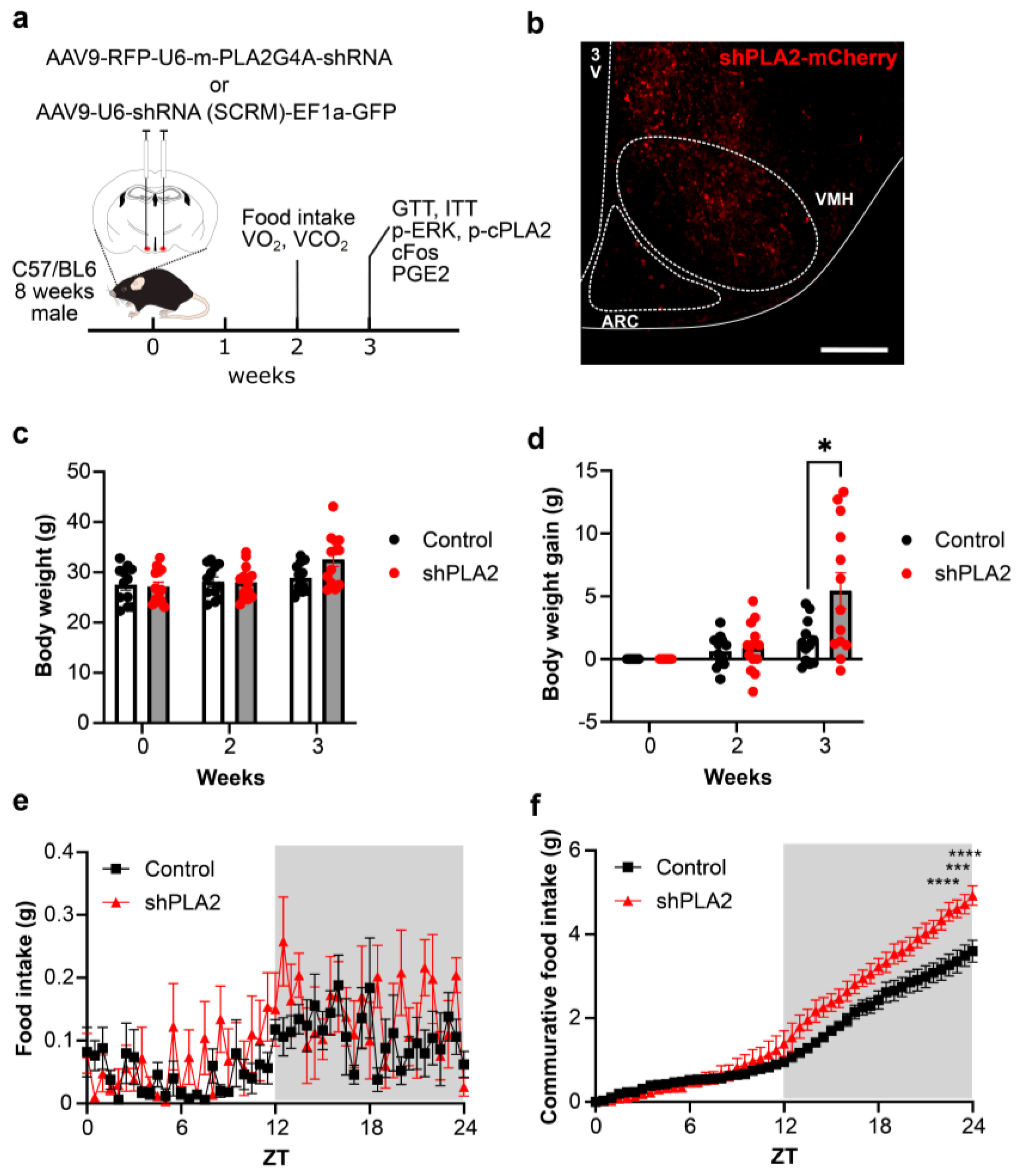 Ijms 26 07532 g001 Ijms 26 07532 g001