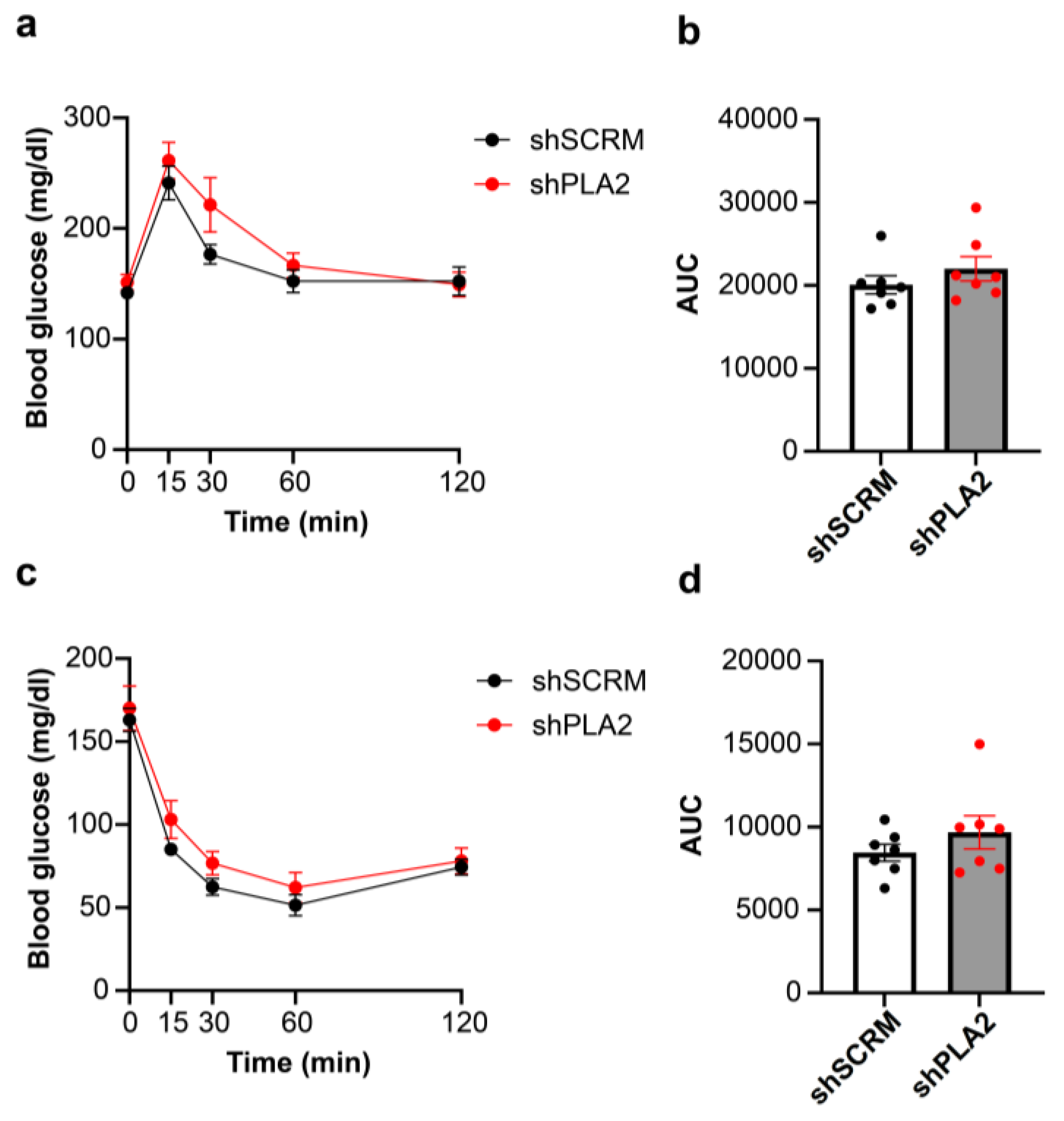 Ijms 26 07532 g003 Ijms 26 07532 g003