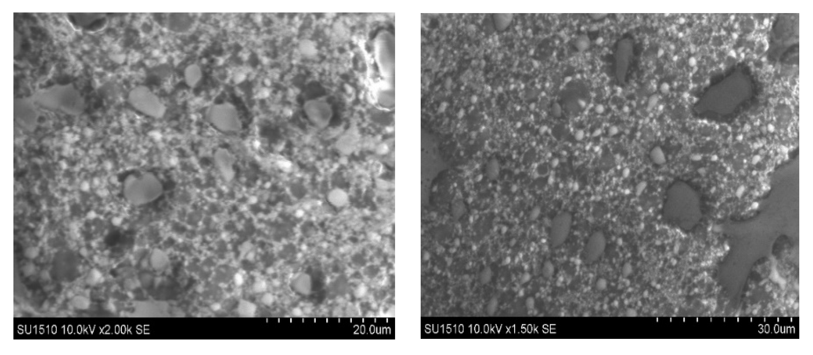 Ijms 26 07535 g002 Ijms 26 07535 g002