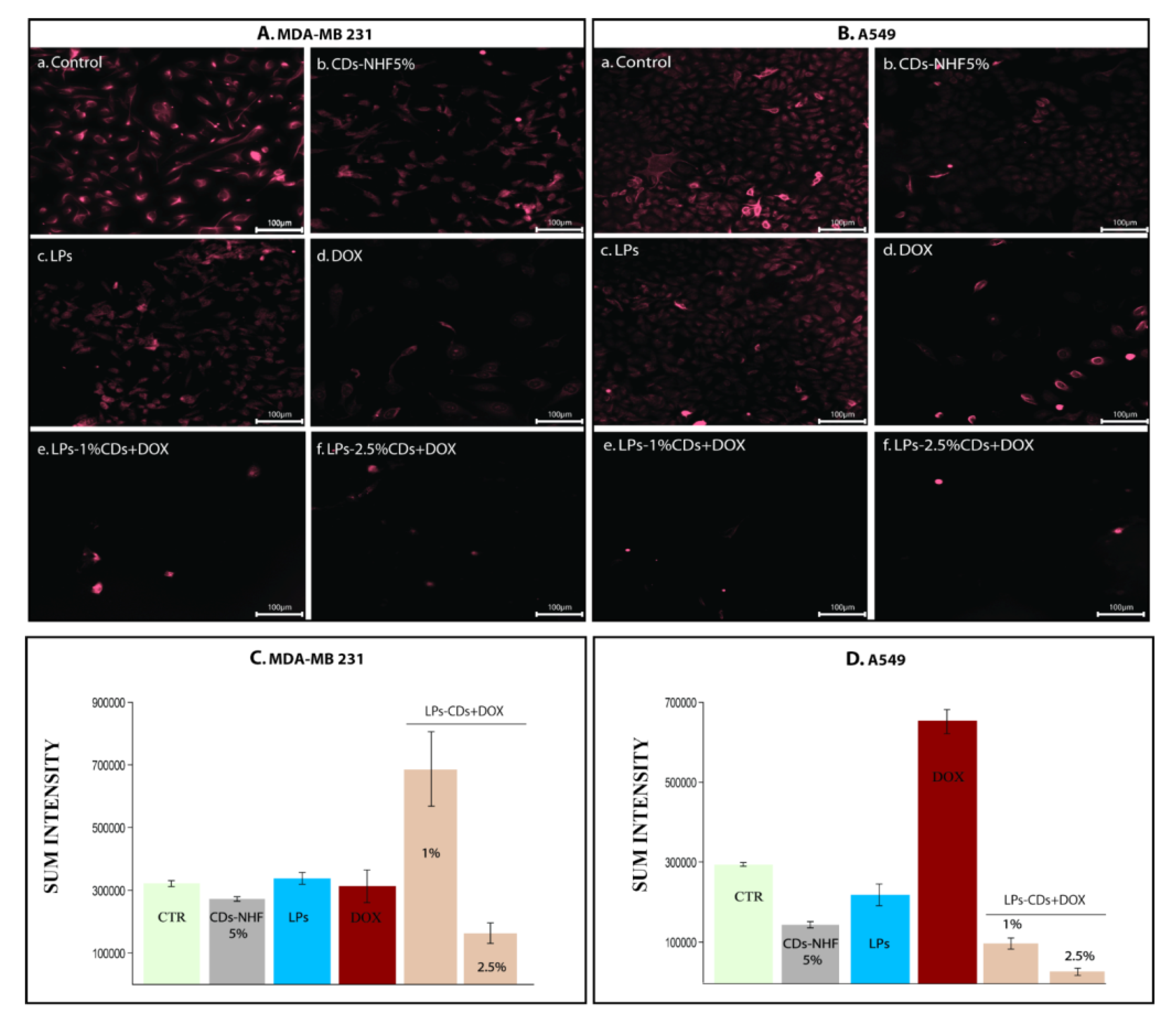 Ijms 26 07535 g008 Ijms 26 07535 g008
