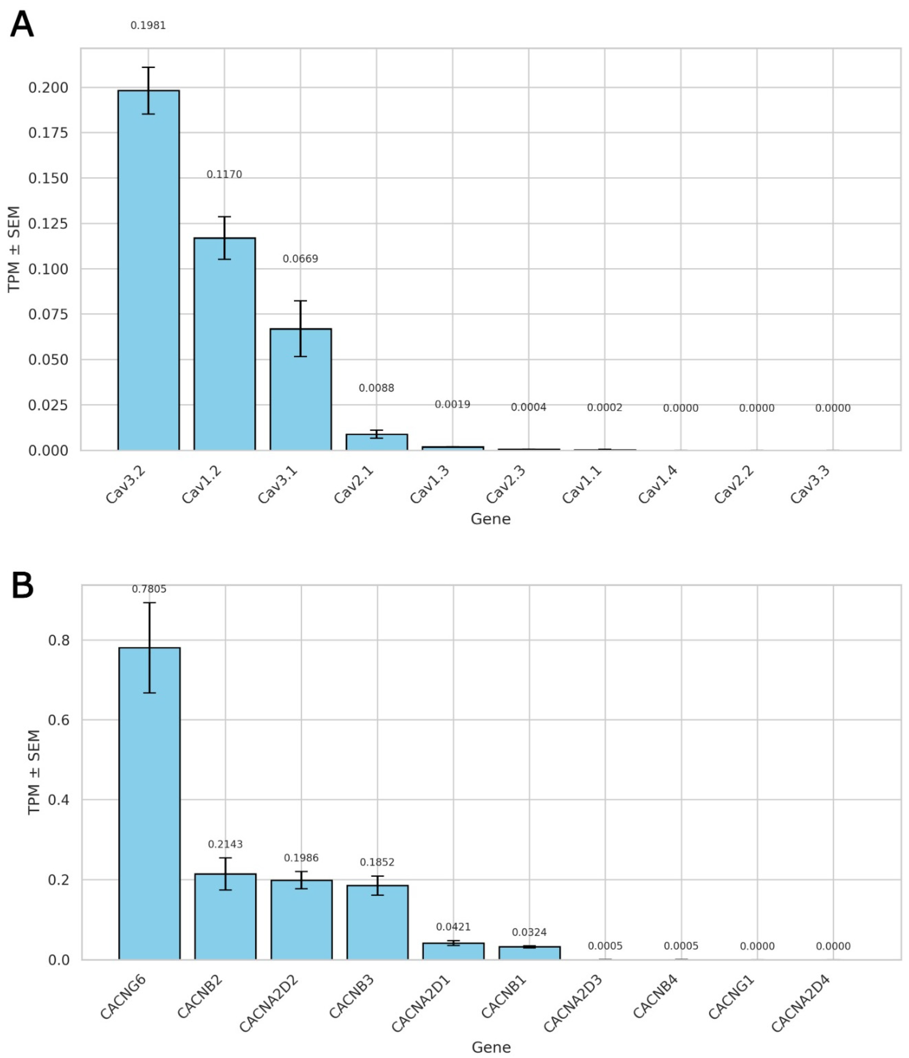 Ijms 26 07539 g001 Ijms 26 07539 g001