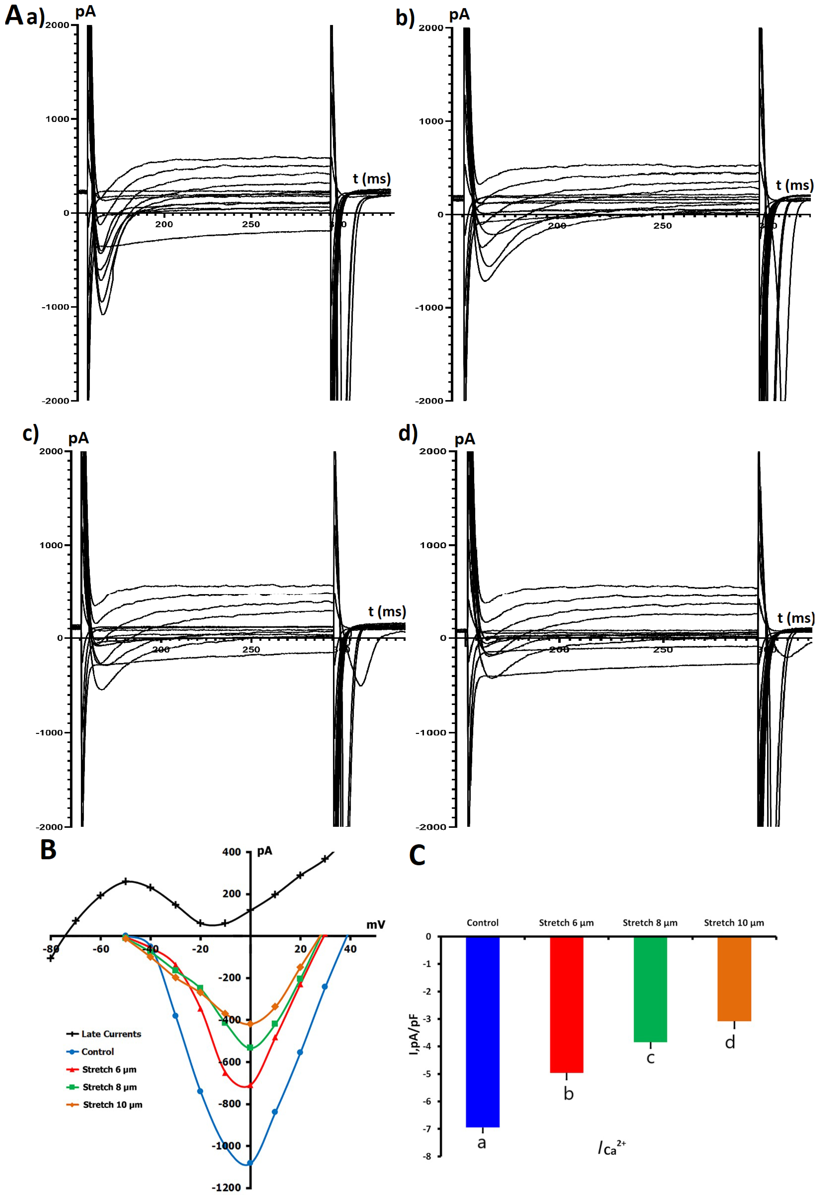 Ijms 26 07539 g002 Ijms 26 07539 g002
