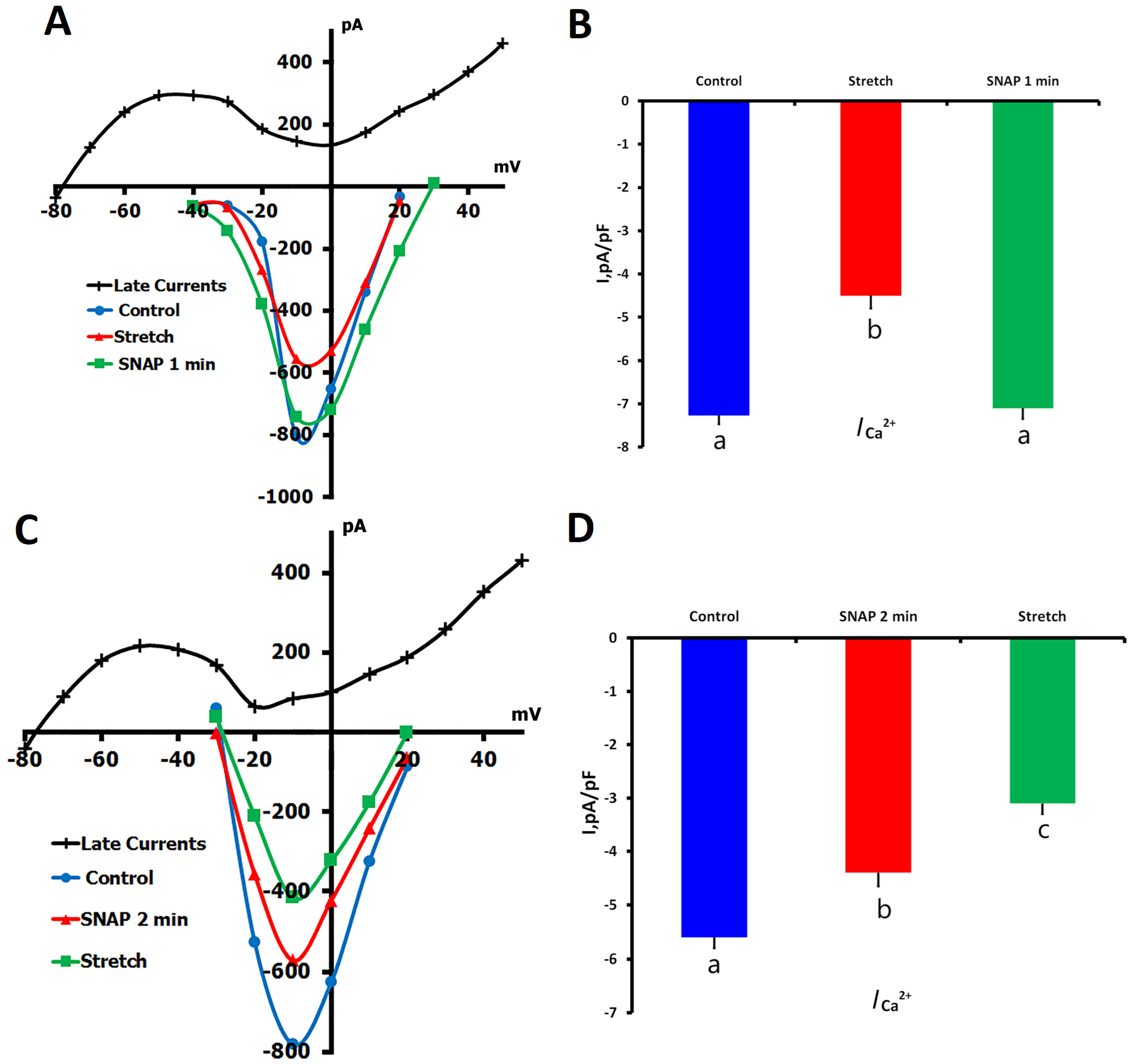 Ijms 26 07539 g004 Ijms 26 07539 g004