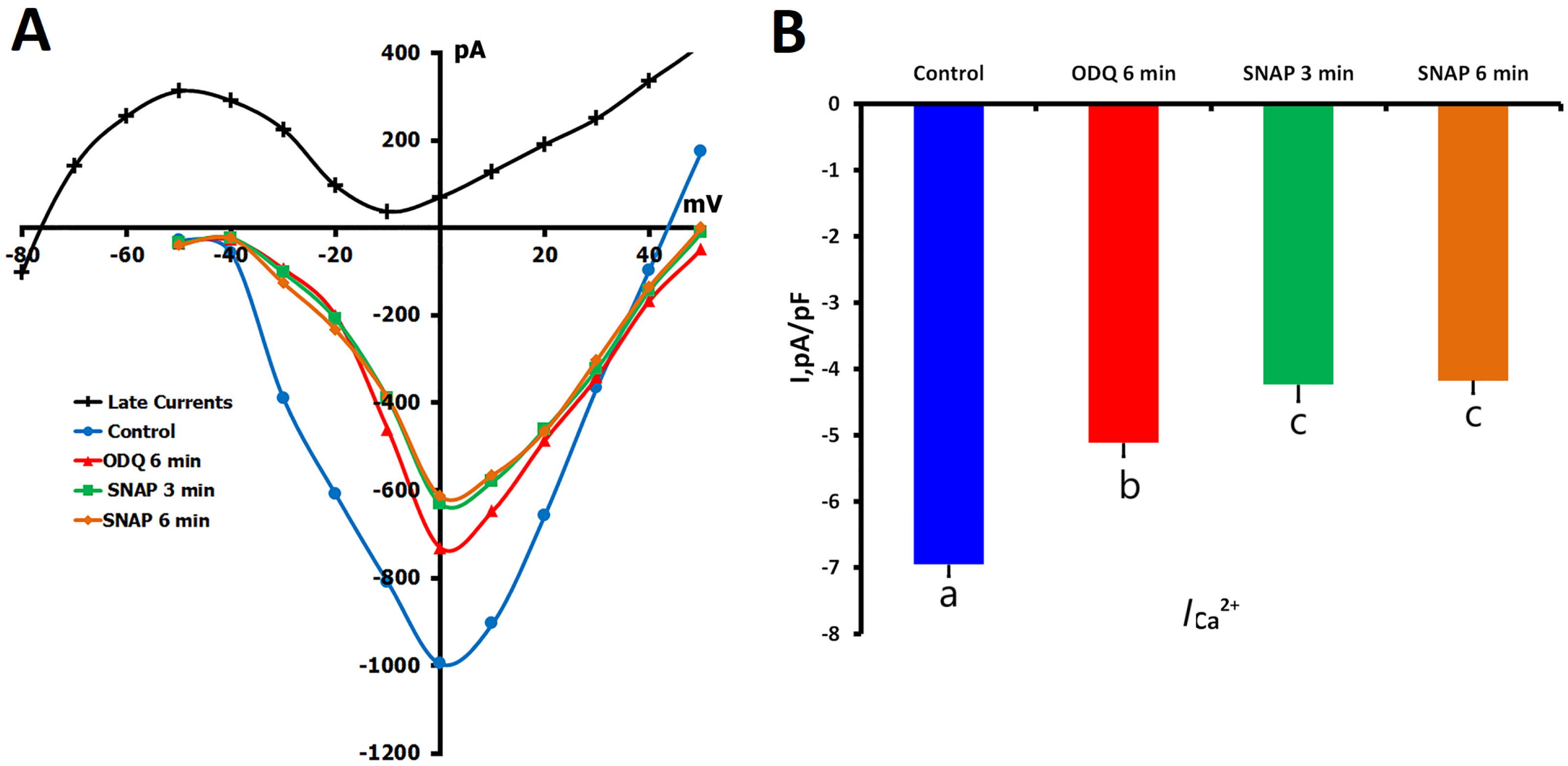 Ijms 26 07539 g005 Ijms 26 07539 g005
