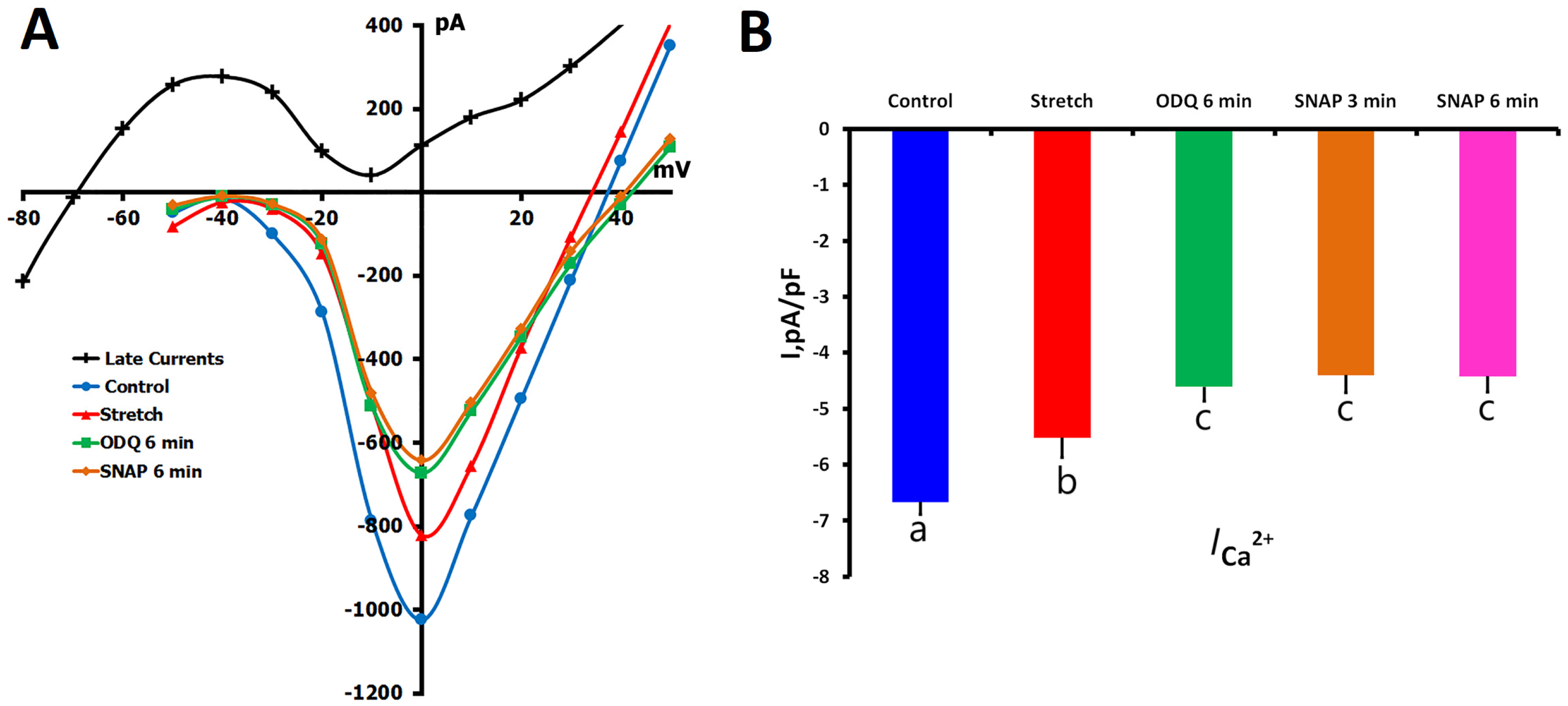 Ijms 26 07539 g006 Ijms 26 07539 g006