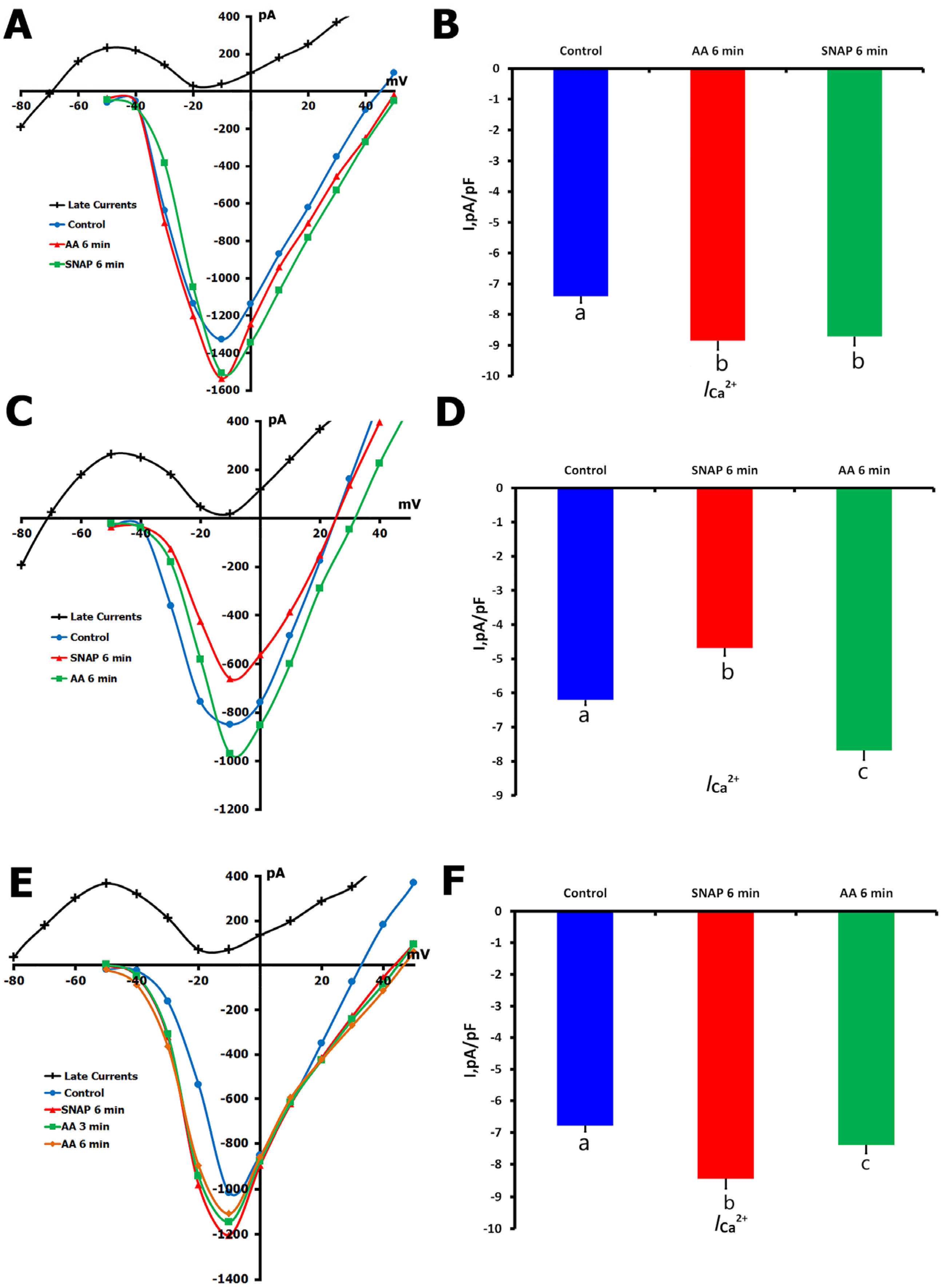 Ijms 26 07539 g007 Ijms 26 07539 g007