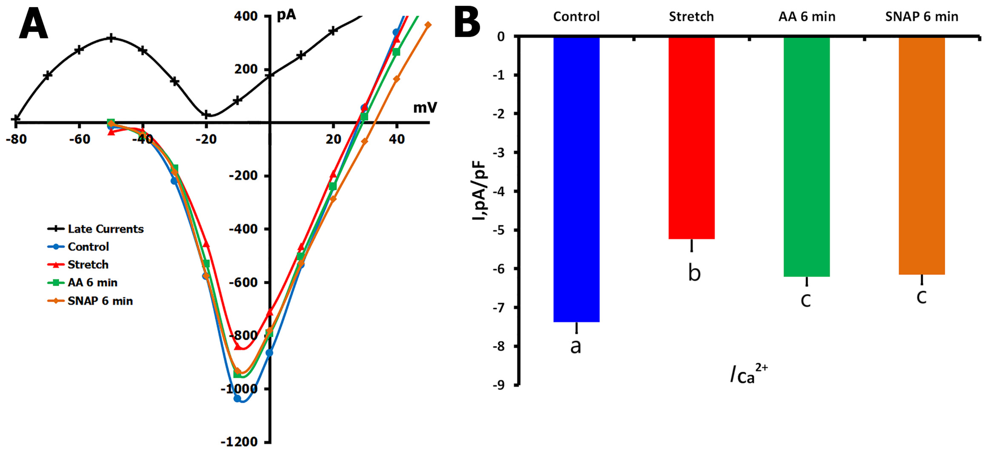 Ijms 26 07539 g008 Ijms 26 07539 g008