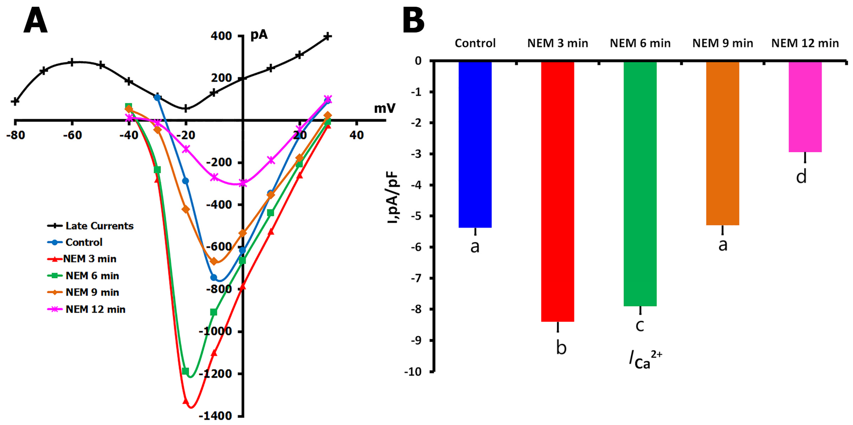 Ijms 26 07539 g009 Ijms 26 07539 g009