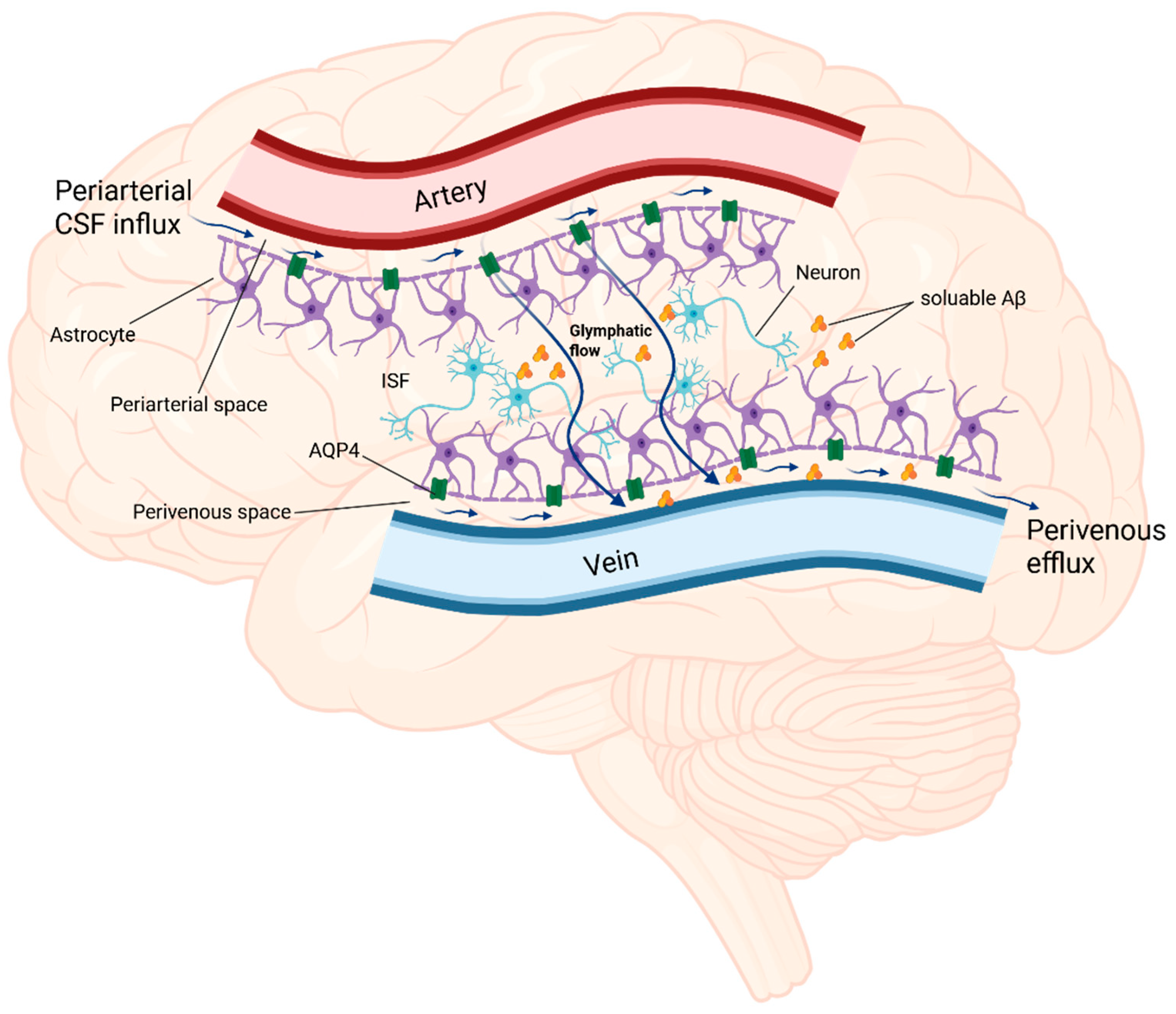 Ijms 26 07552 g002 Ijms 26 07552 g002