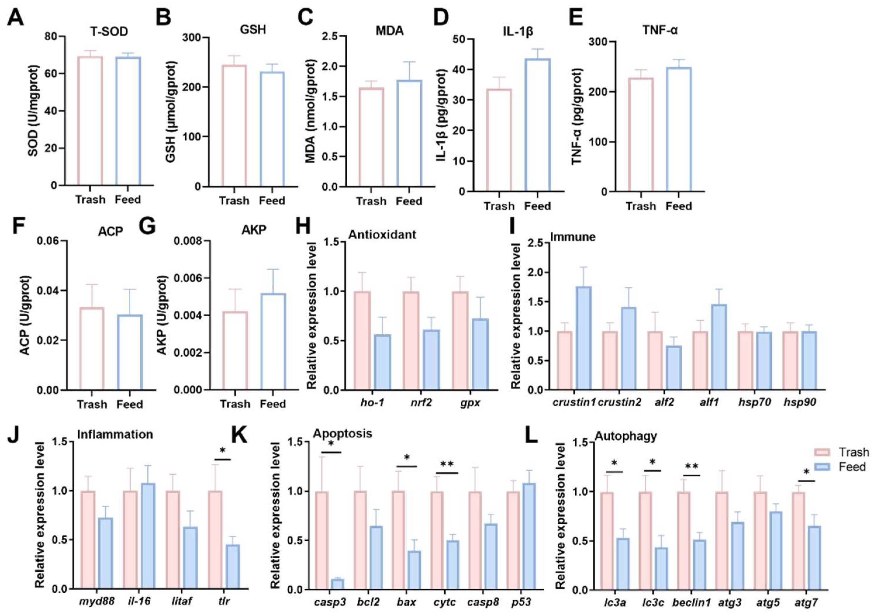 Ijms 26 07562 g001 Ijms 26 07562 g001