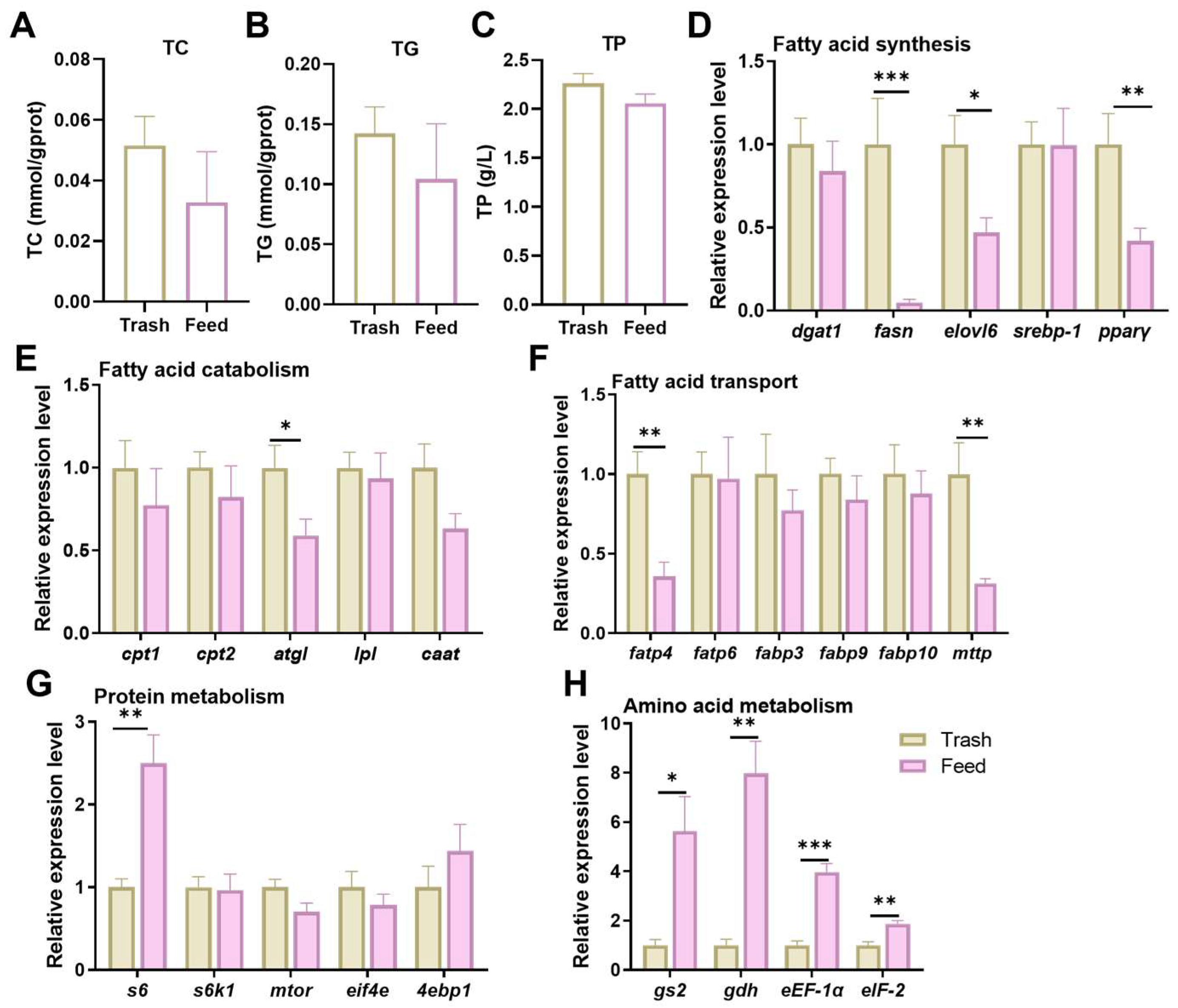 Ijms 26 07562 g002 Ijms 26 07562 g002