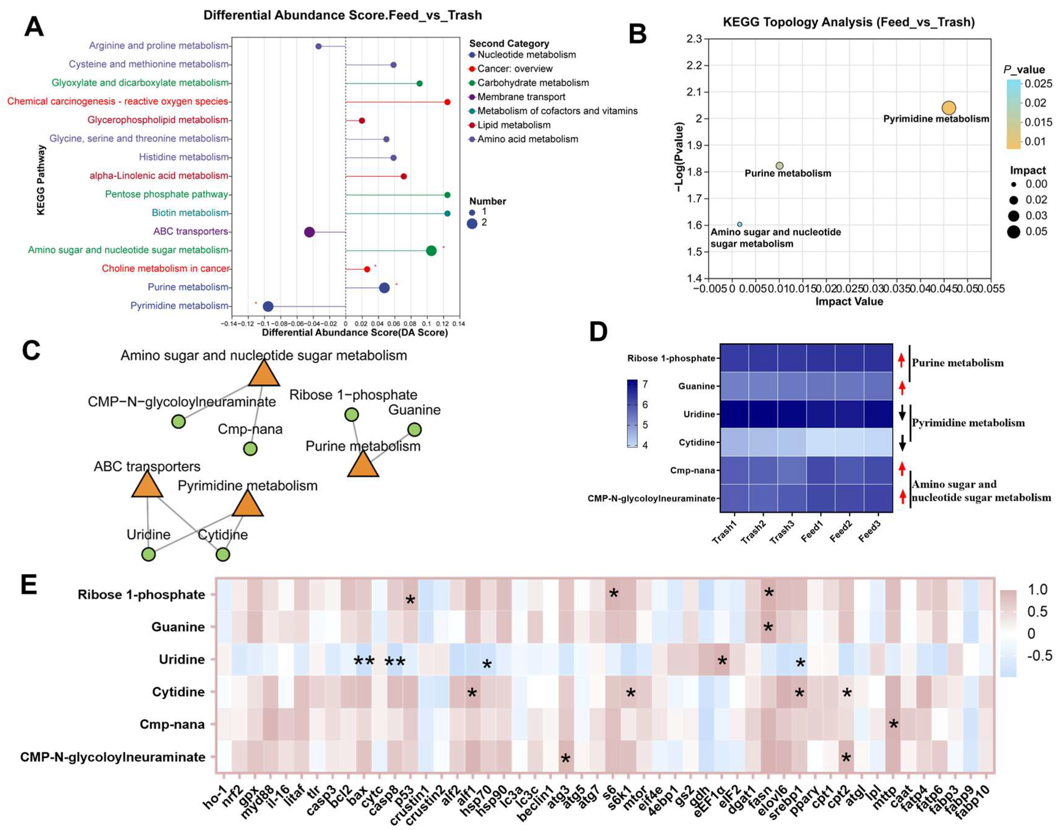 Ijms 26 07562 g004 Ijms 26 07562 g004