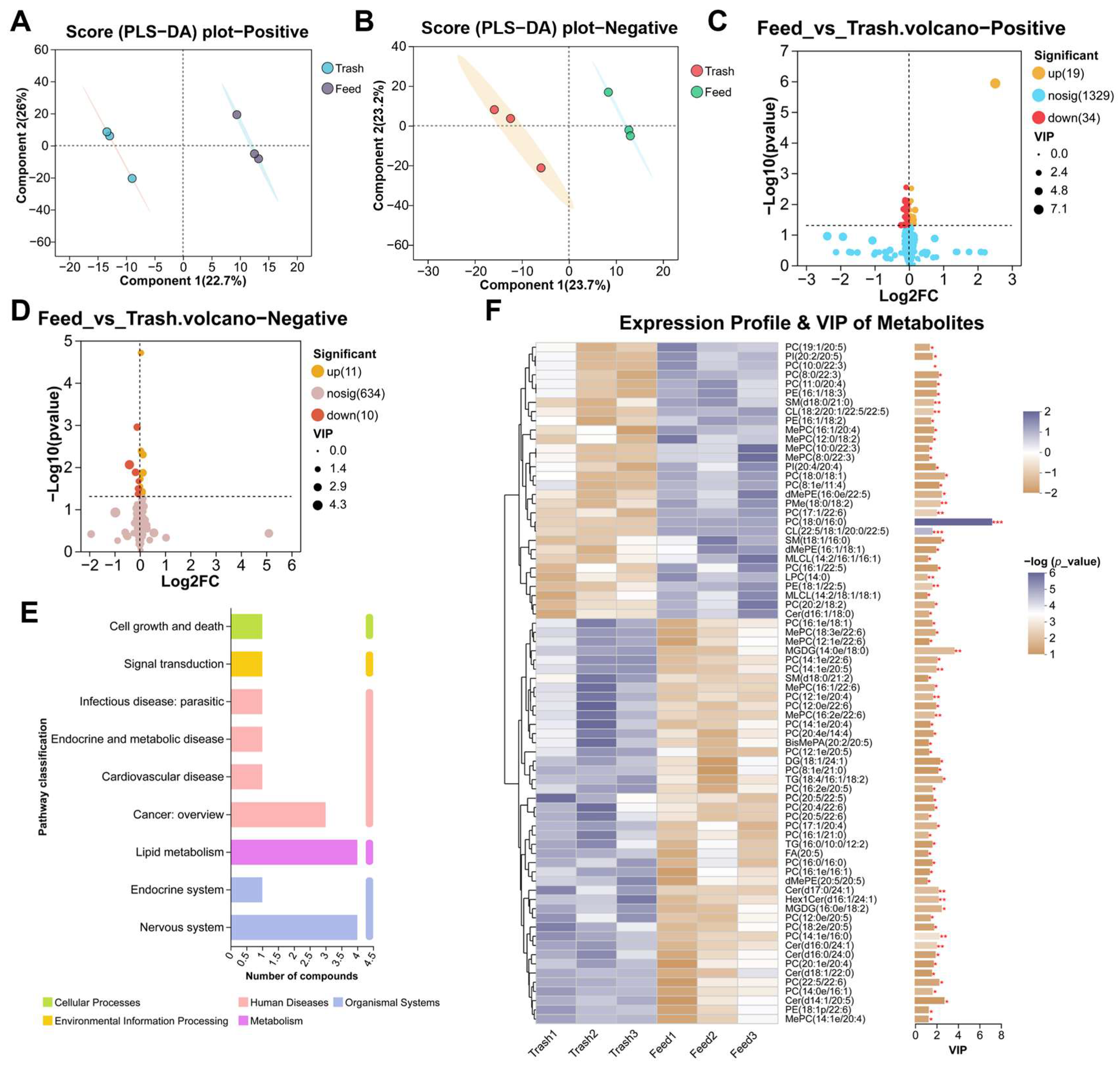 Ijms 26 07562 g005 Ijms 26 07562 g005