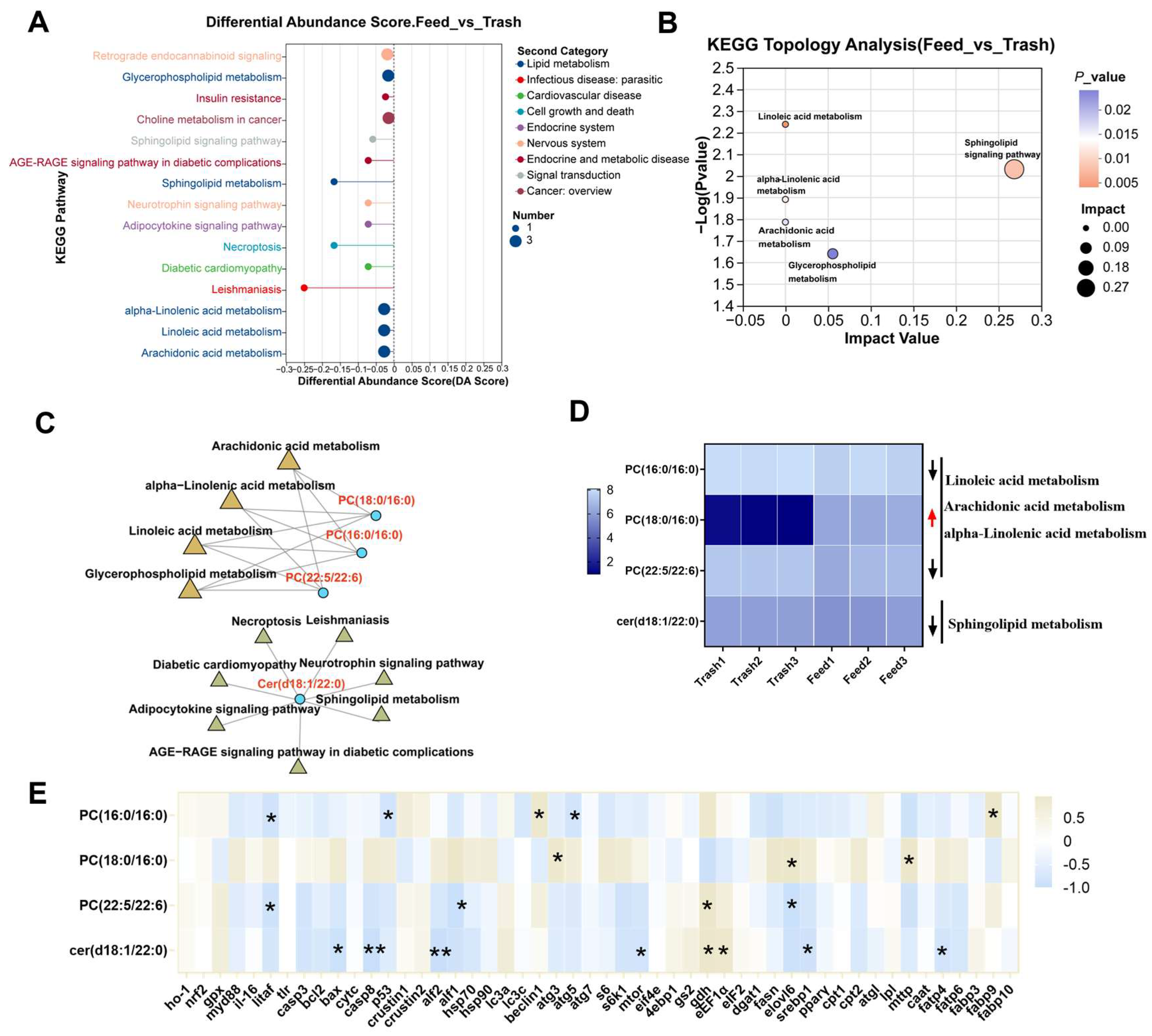 Ijms 26 07562 g006 Ijms 26 07562 g006