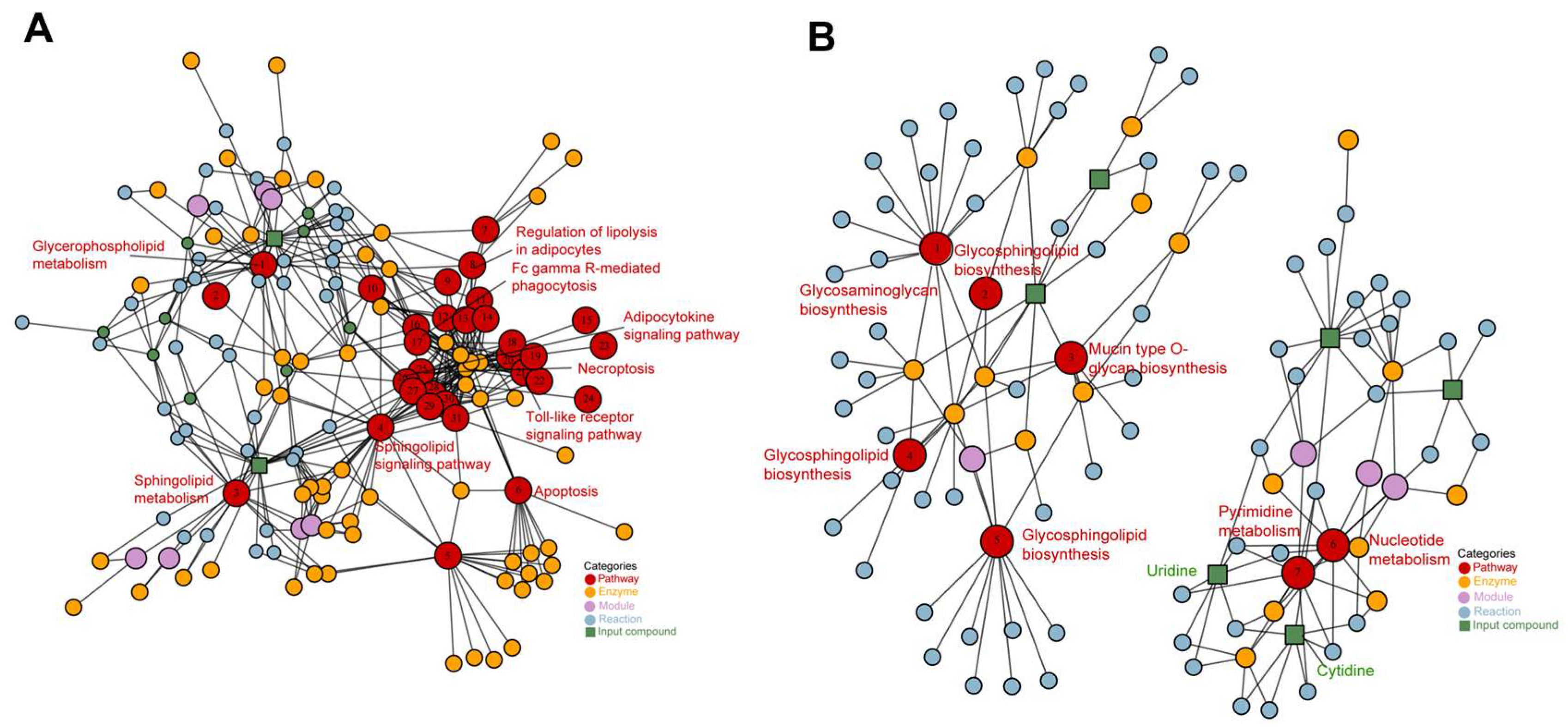 Ijms 26 07562 g007 Ijms 26 07562 g007