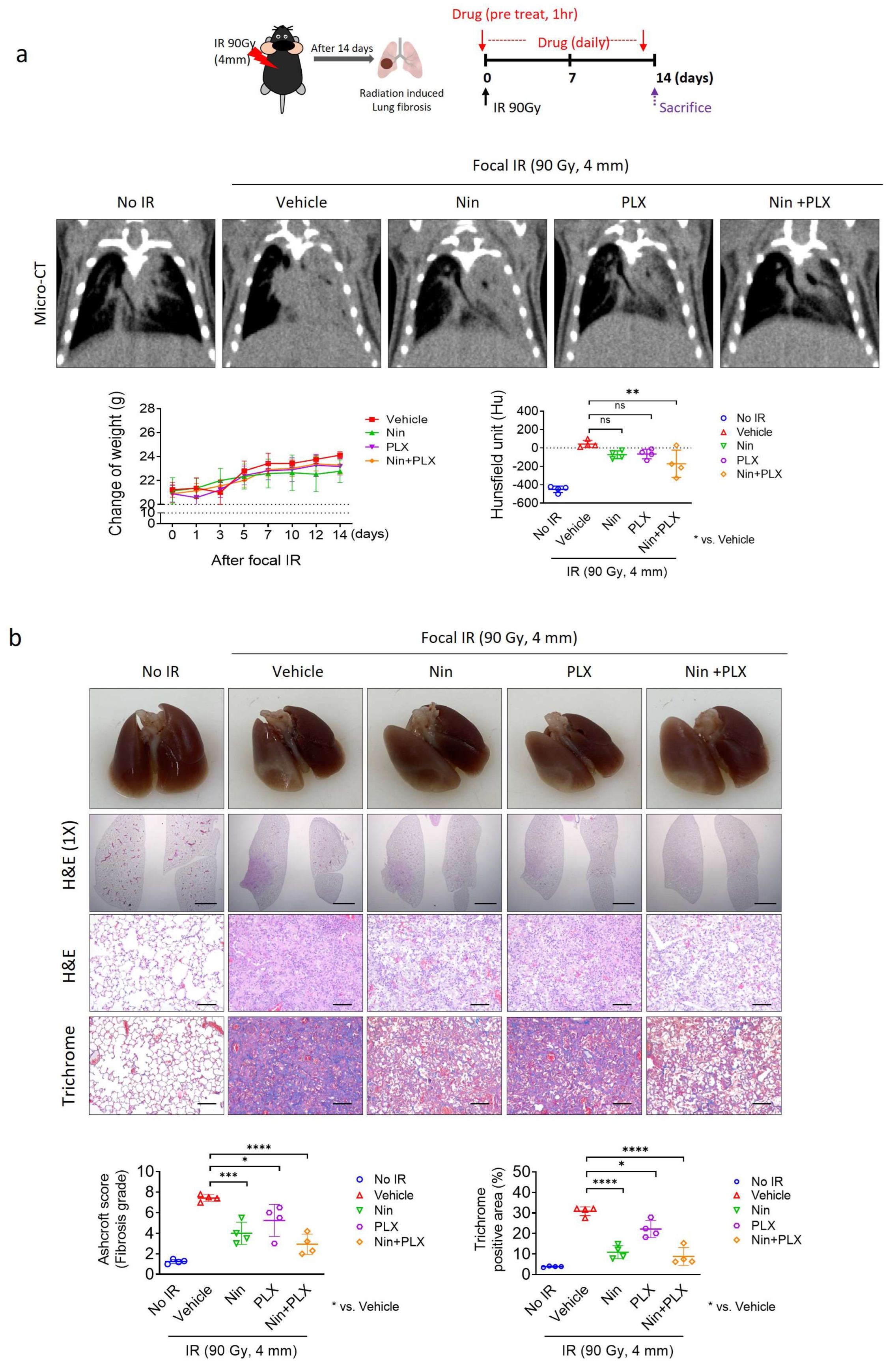Ijms 26 07570 g001 Ijms 26 07570 g001