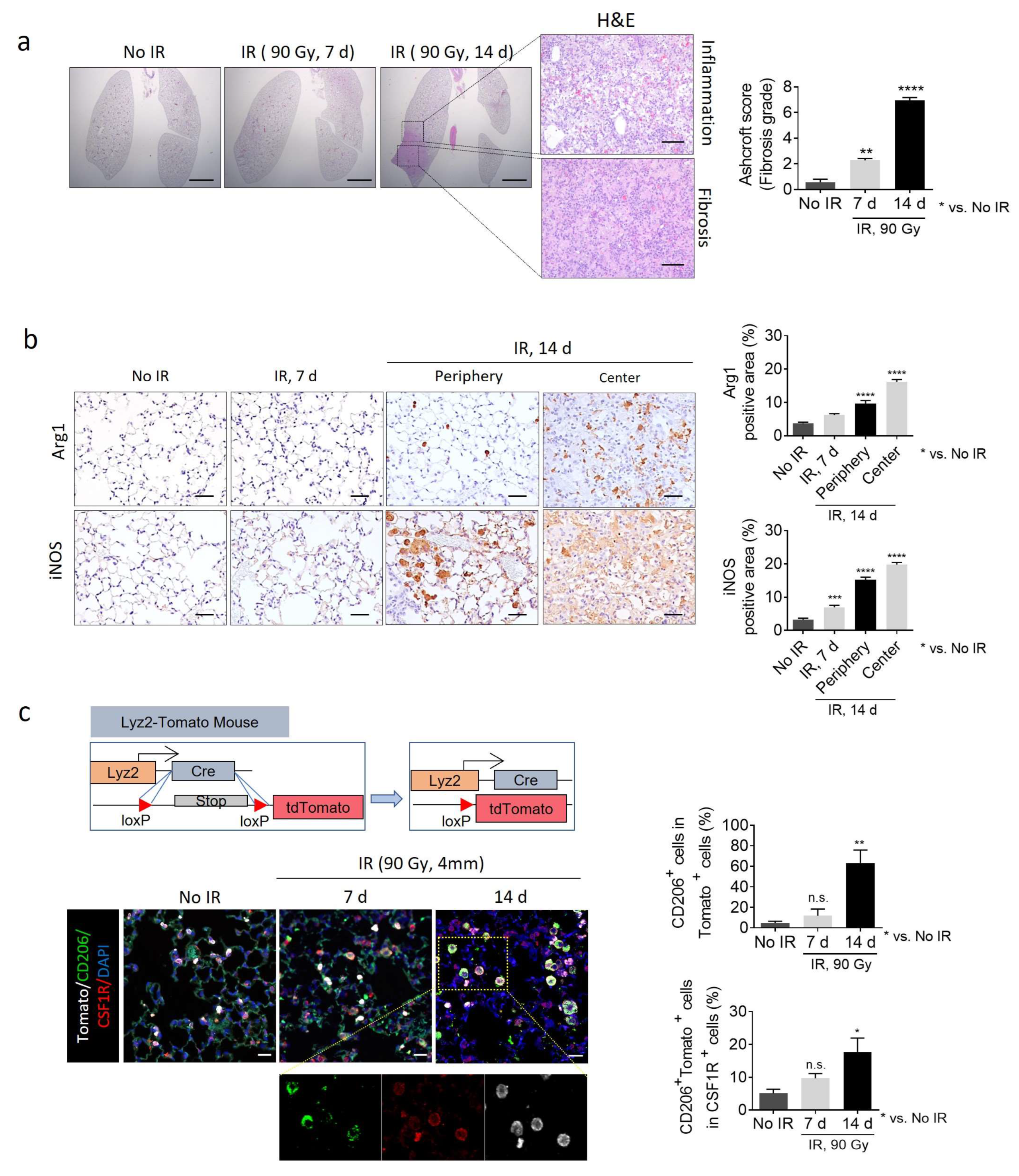 Ijms 26 07570 g002 Ijms 26 07570 g002