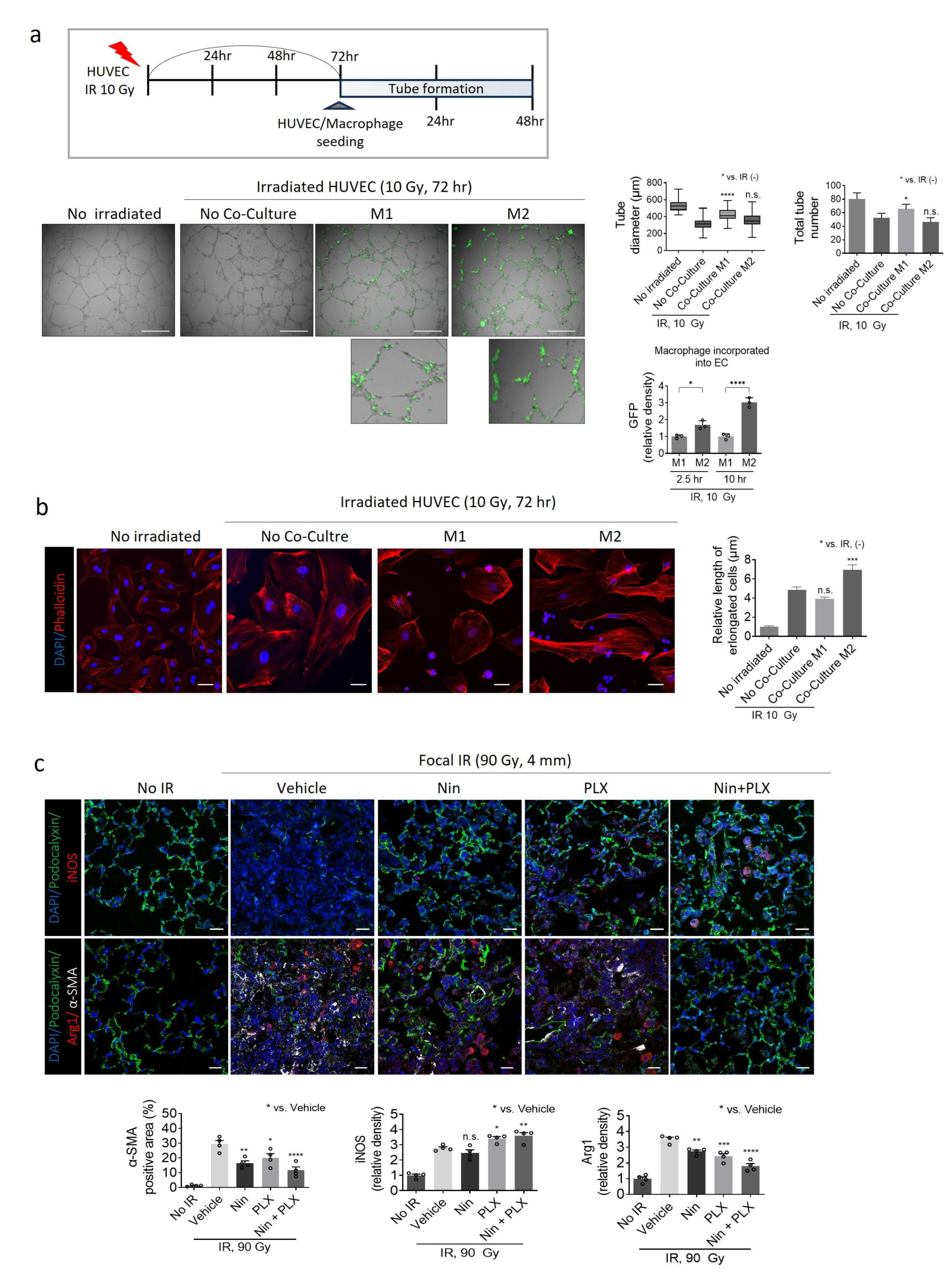 Ijms 26 07570 g004 Ijms 26 07570 g004