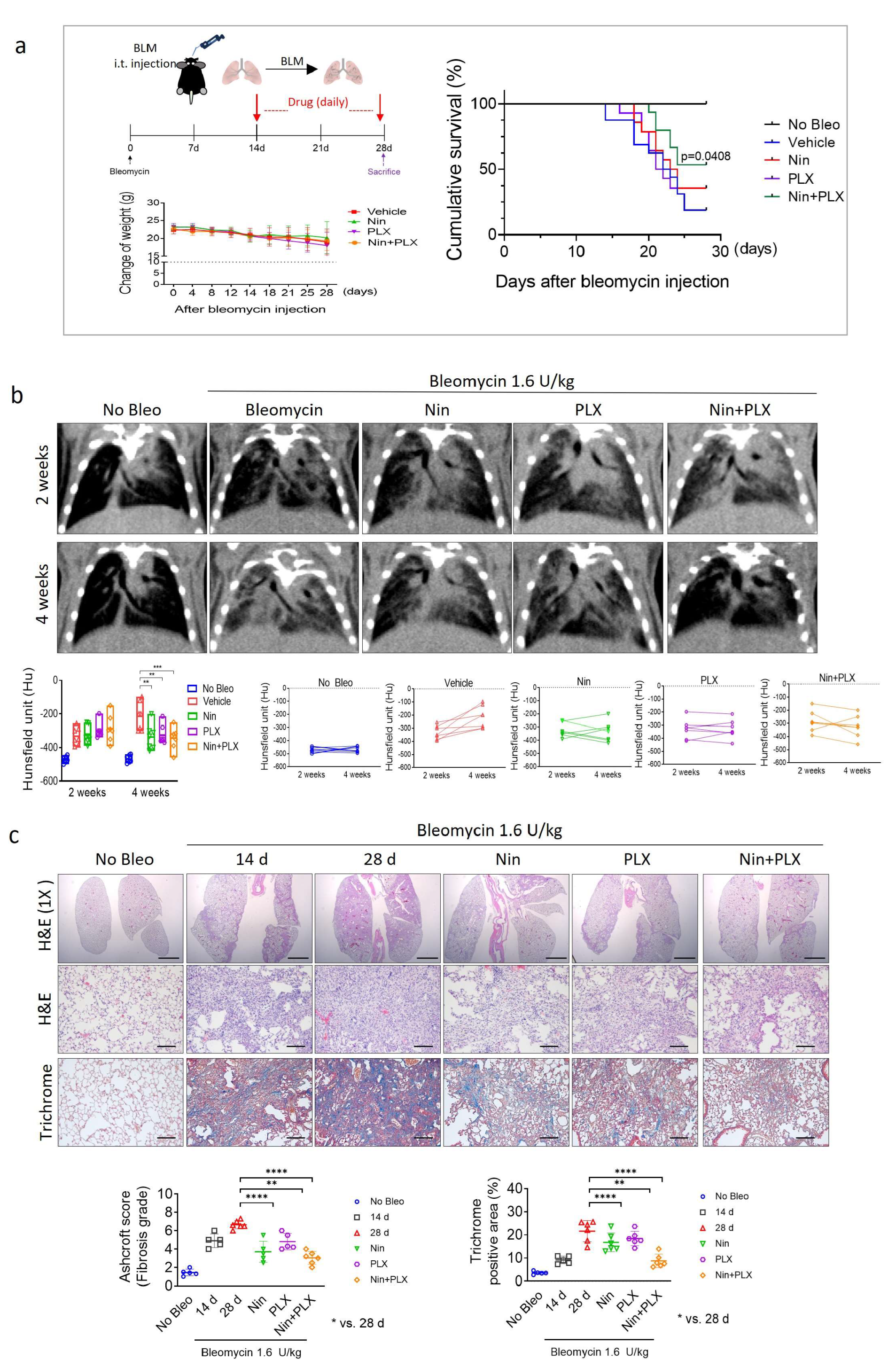 Ijms 26 07570 g005 Ijms 26 07570 g005