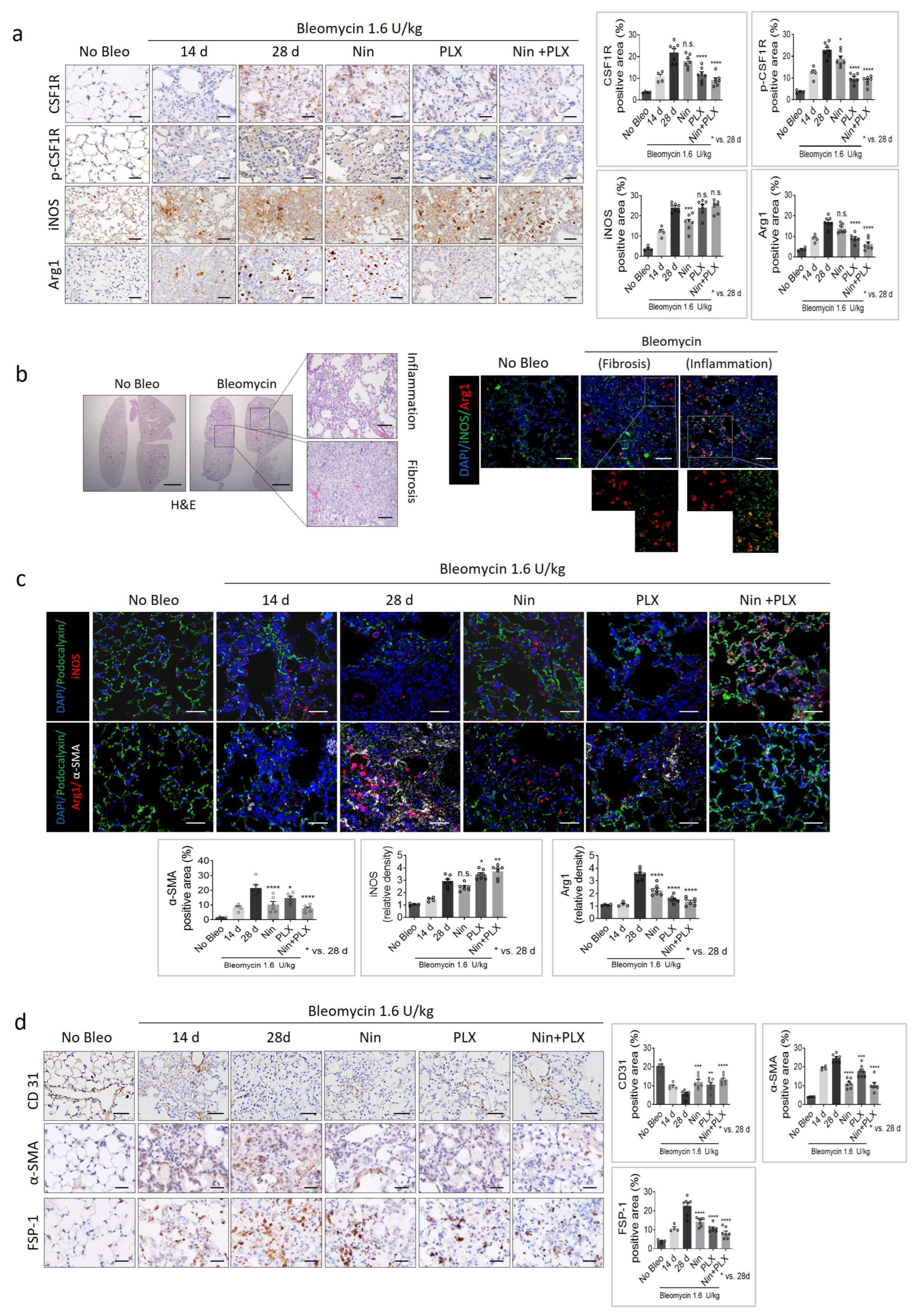 Ijms 26 07570 g006 Ijms 26 07570 g006