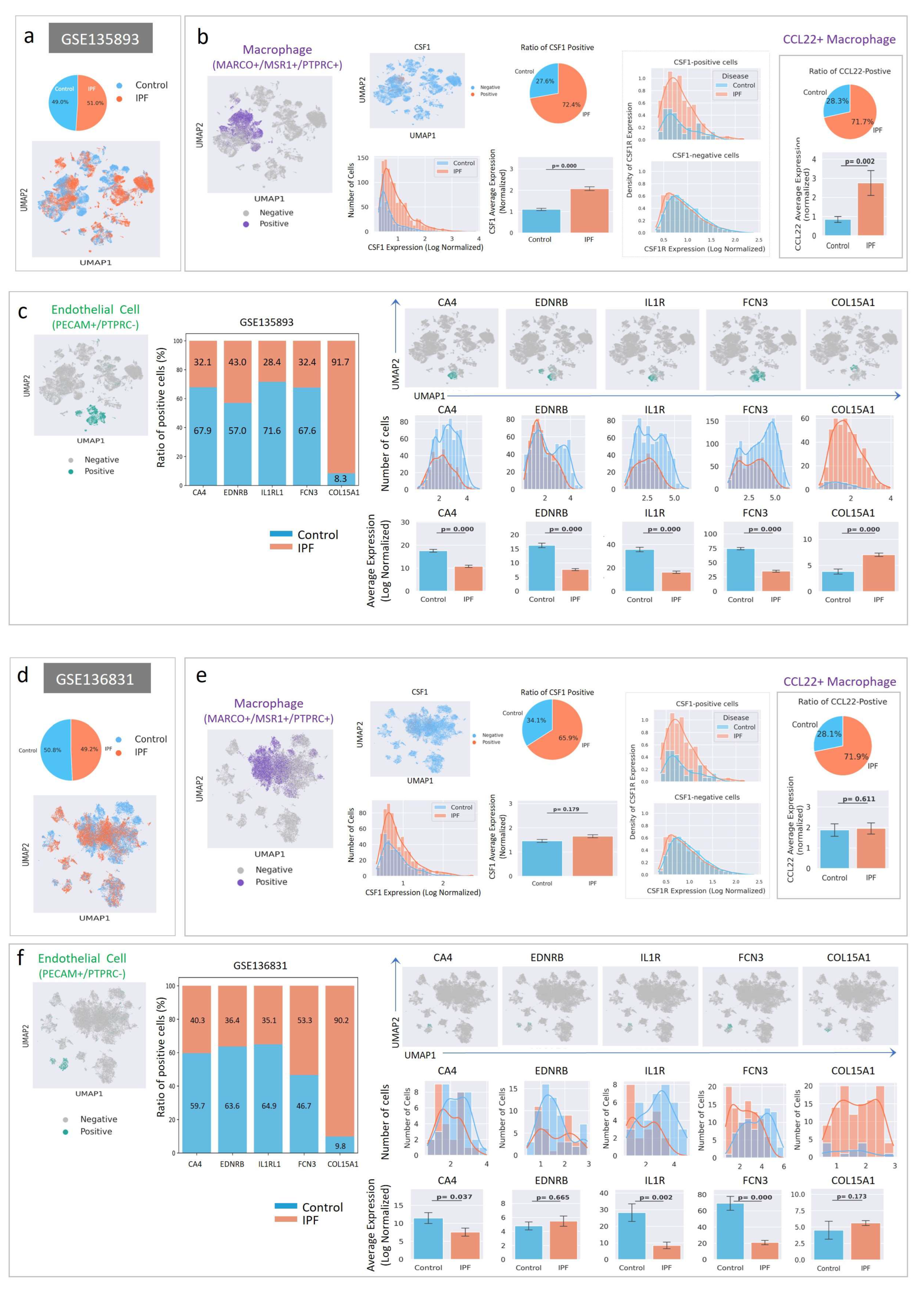 Ijms 26 07570 g007 Ijms 26 07570 g007