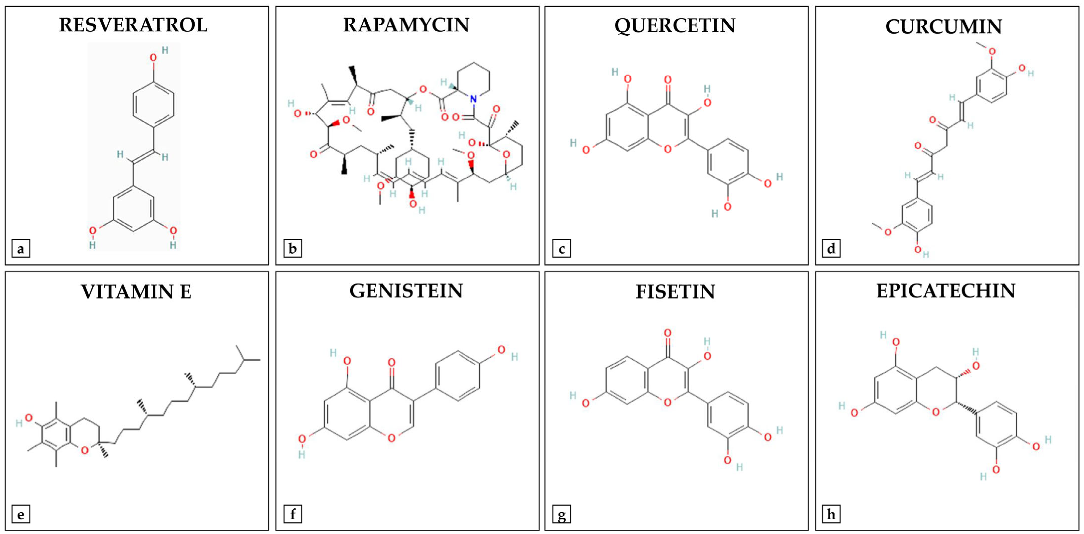 Ijms 26 07573 g001 Ijms 26 07573 g001