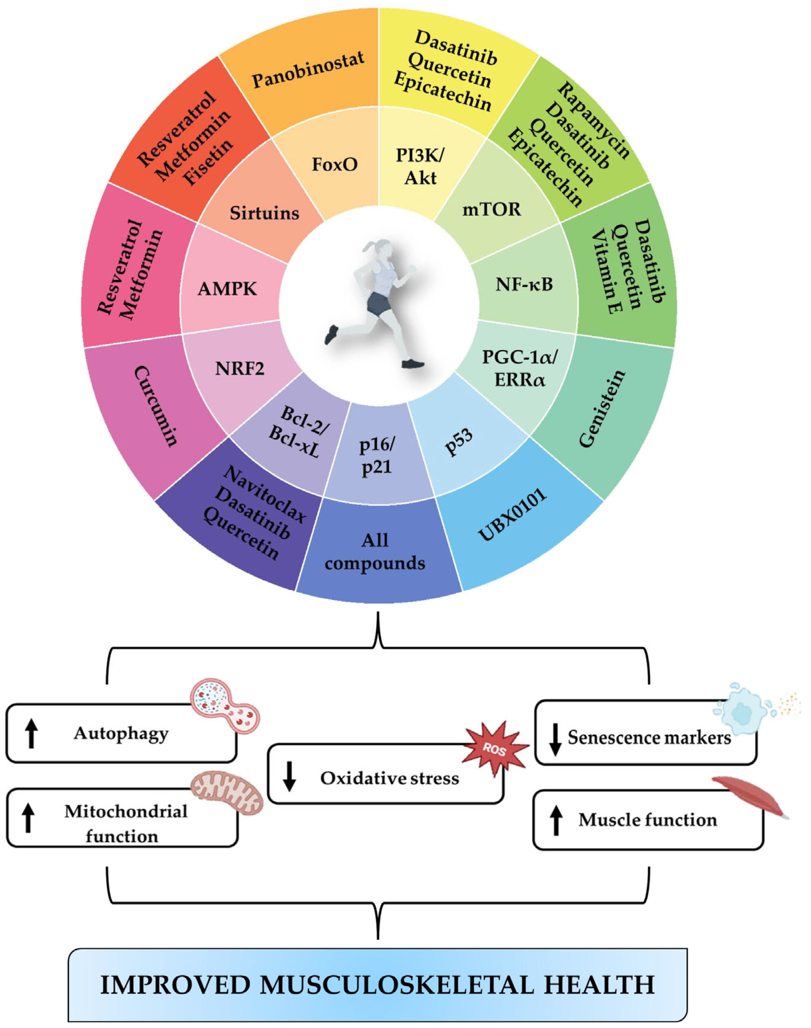 Ijms 26 07573 g003 Ijms 26 07573 g003