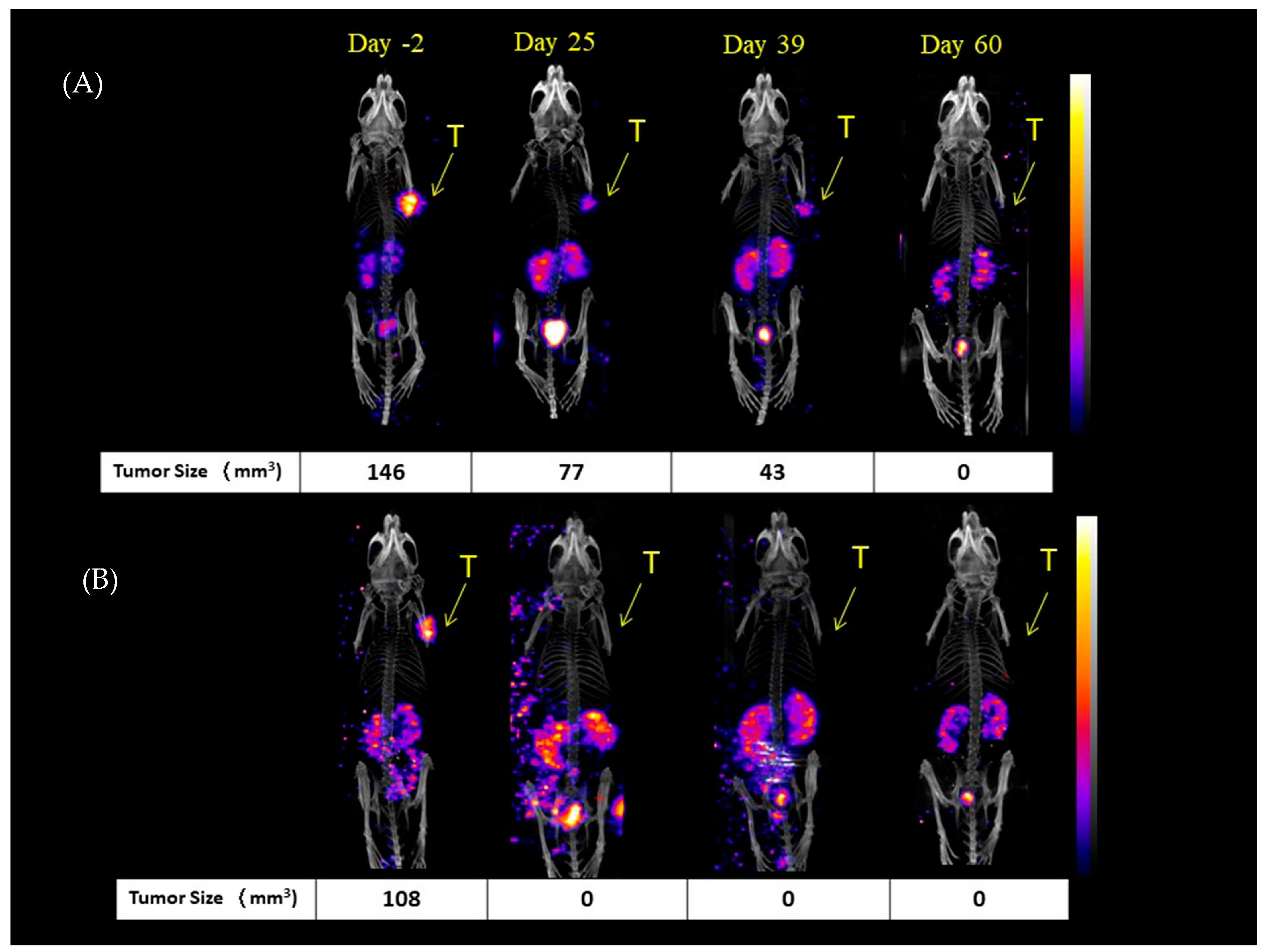 Ijms 26 07580 g003 Ijms 26 07580 g003