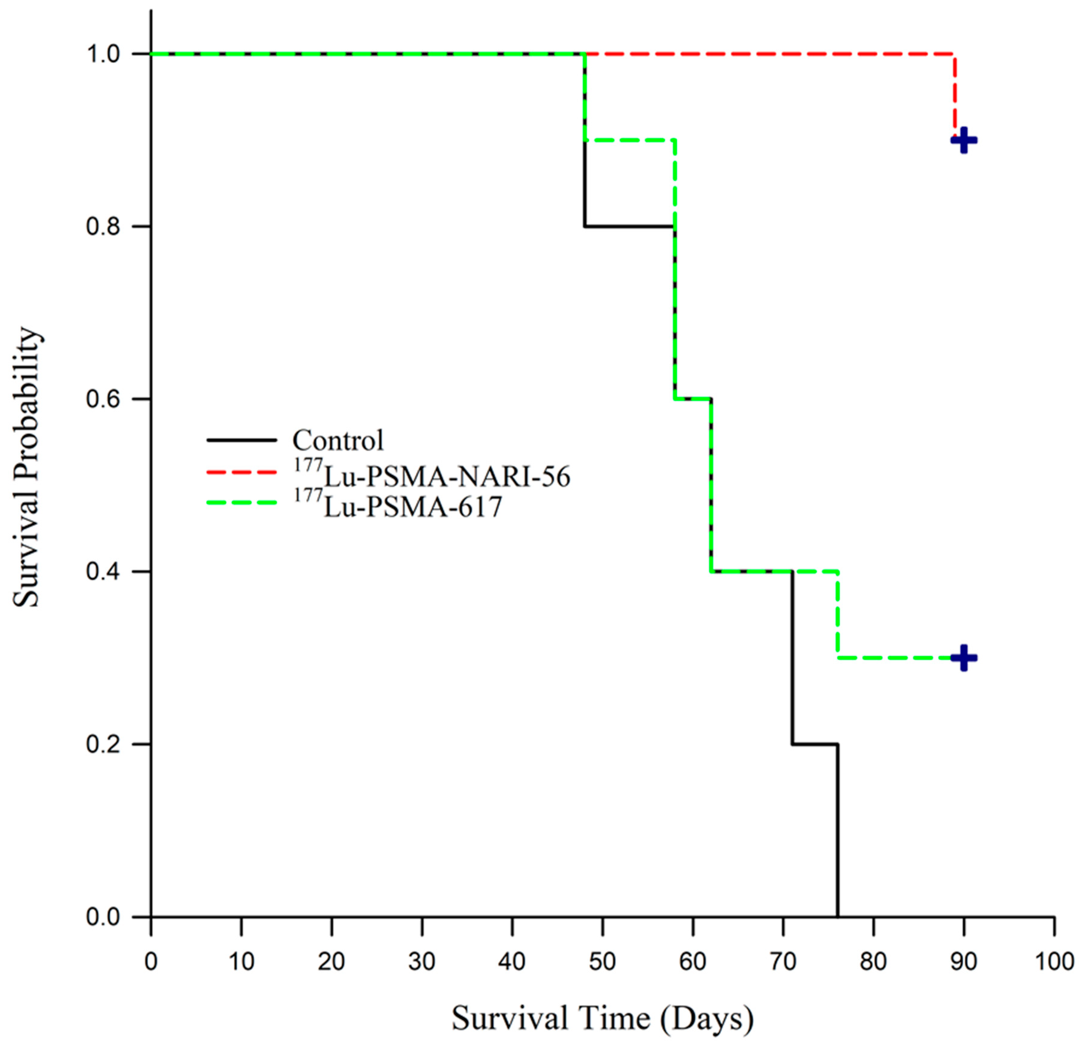 Ijms 26 07580 g004 Ijms 26 07580 g004