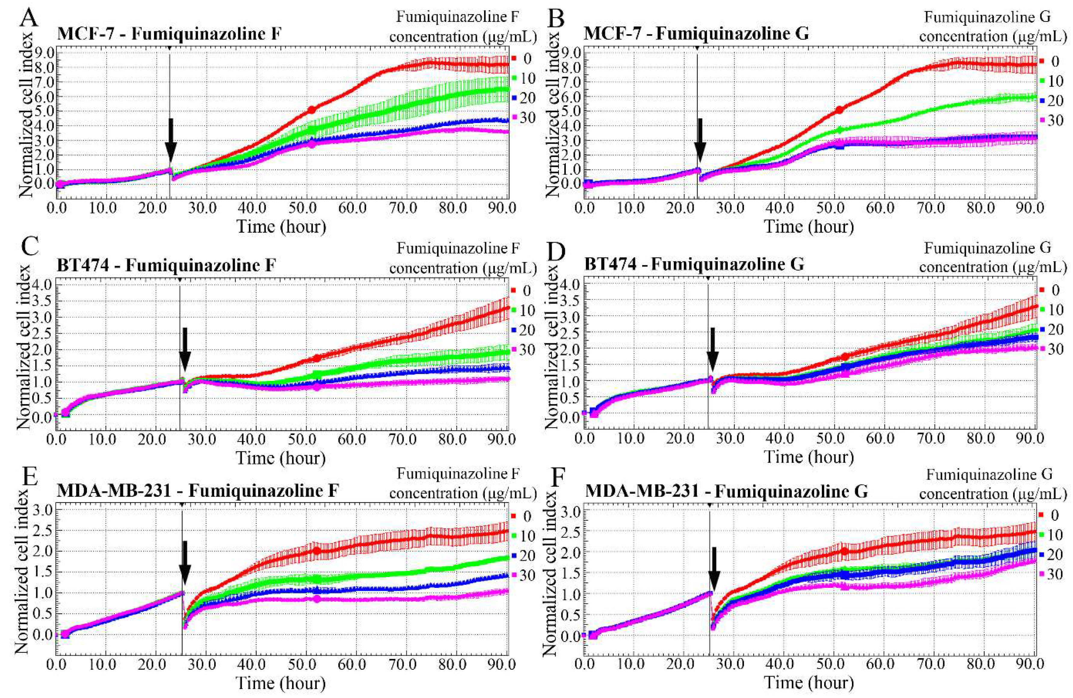 Ijms 26 07582 g001 Ijms 26 07582 g001
