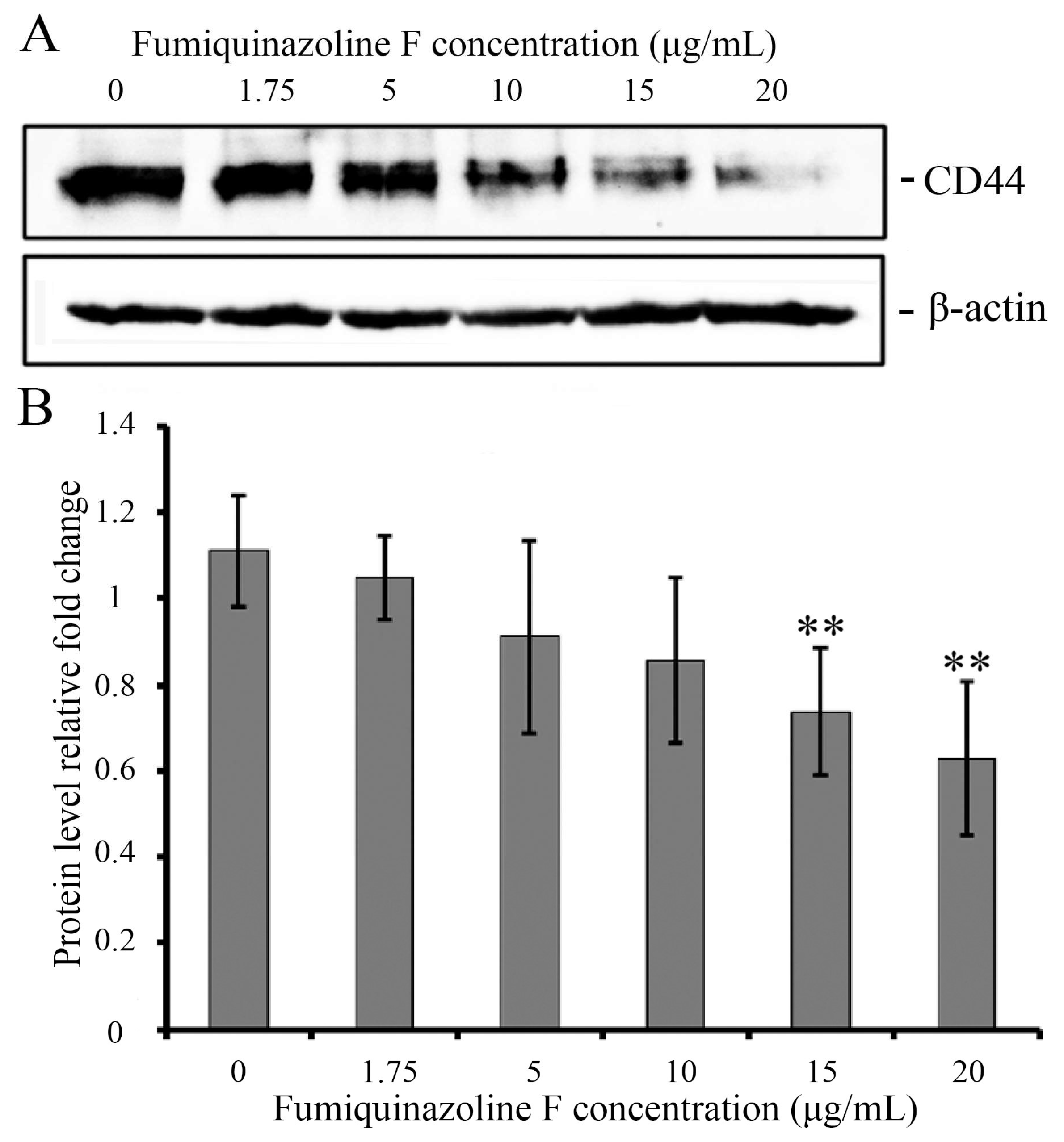 Ijms 26 07582 g005 Ijms 26 07582 g005
