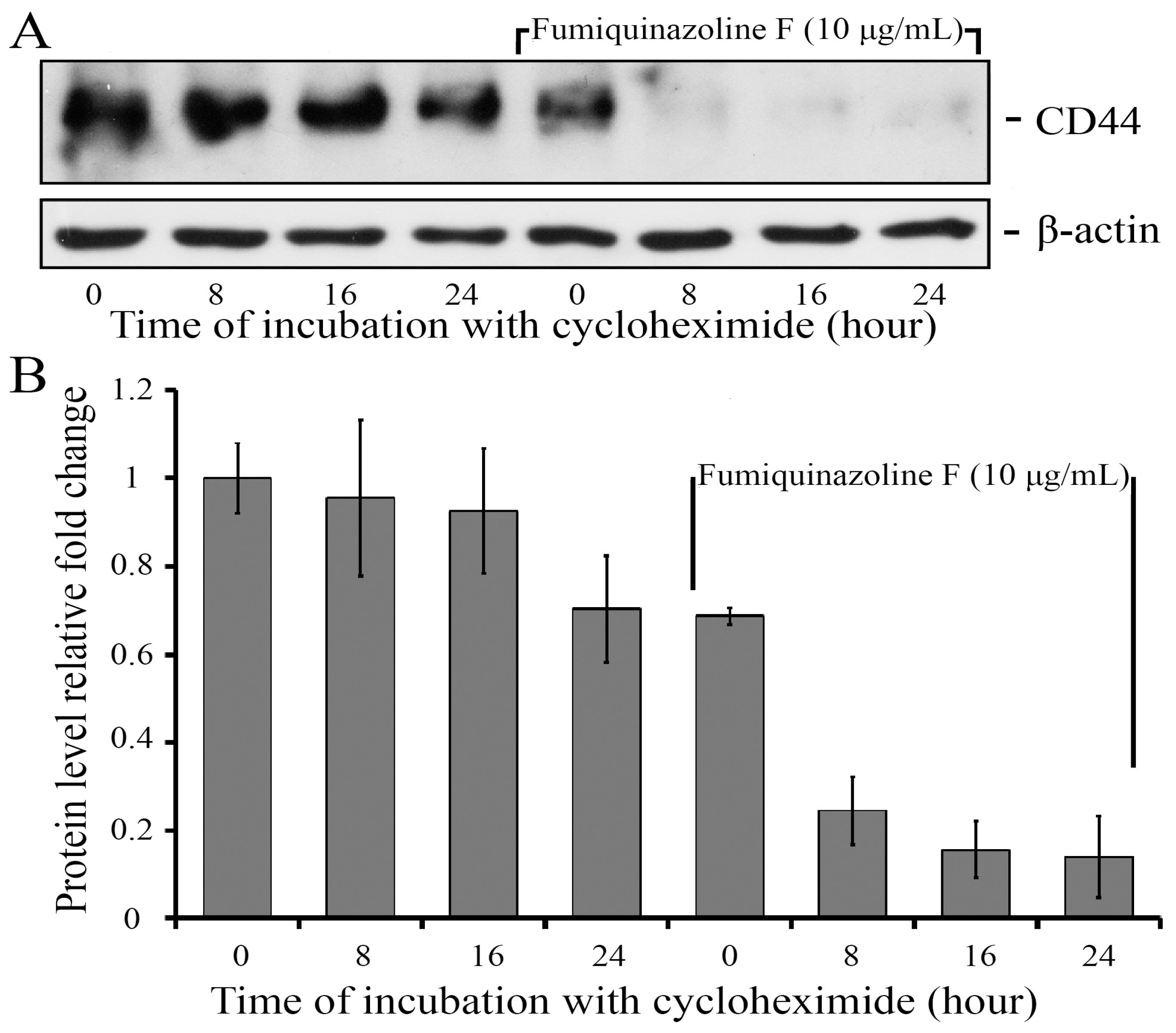 Ijms 26 07582 g006 Ijms 26 07582 g006