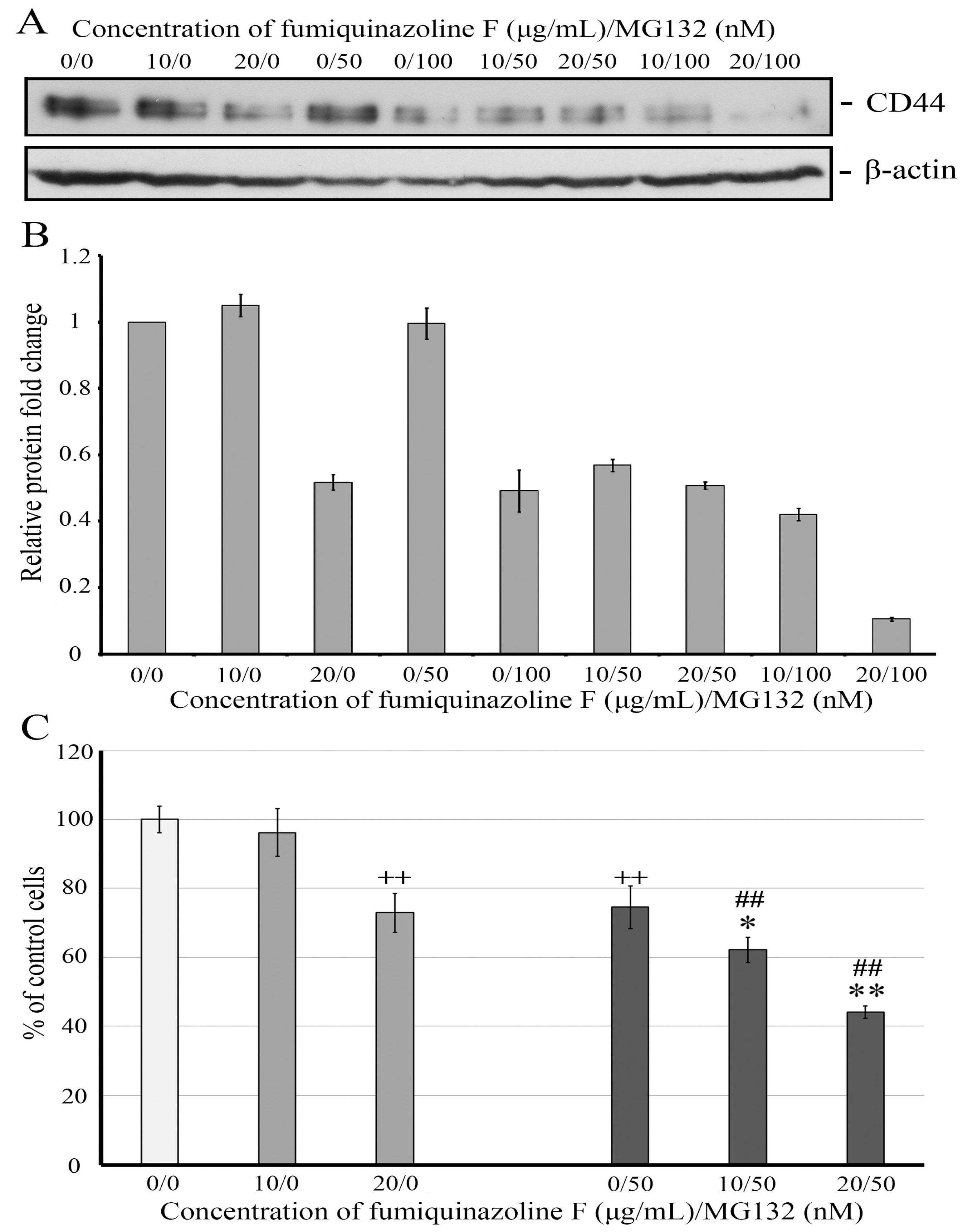 Ijms 26 07582 g008 Ijms 26 07582 g008