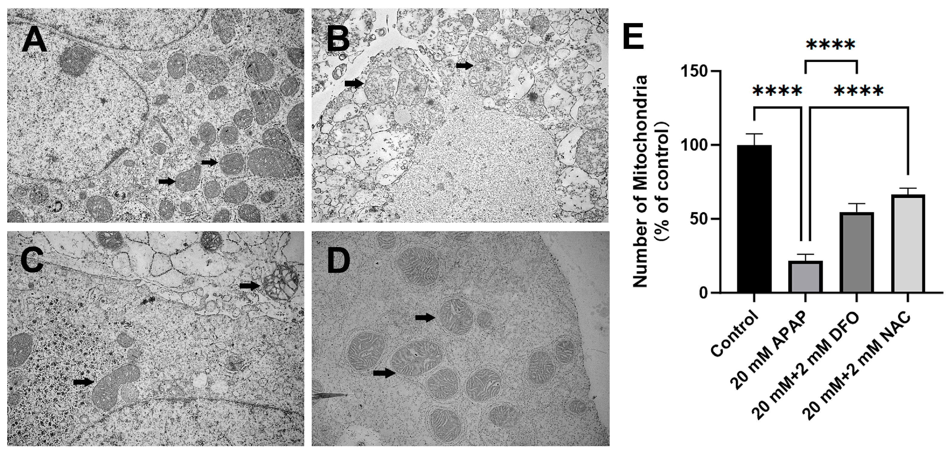 Ijms 26 07585 g002 Ijms 26 07585 g002