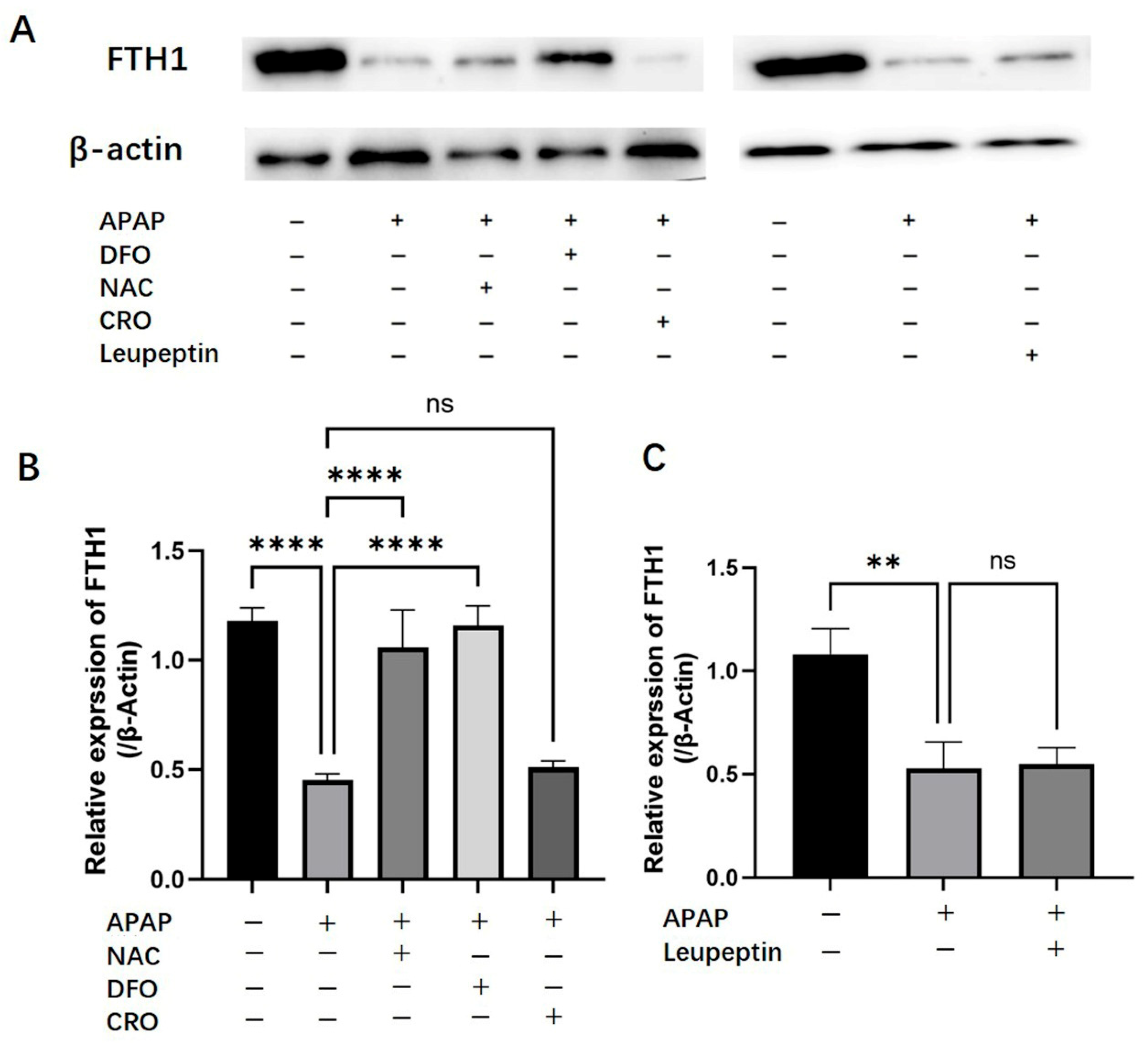 Ijms 26 07585 g005 Ijms 26 07585 g005